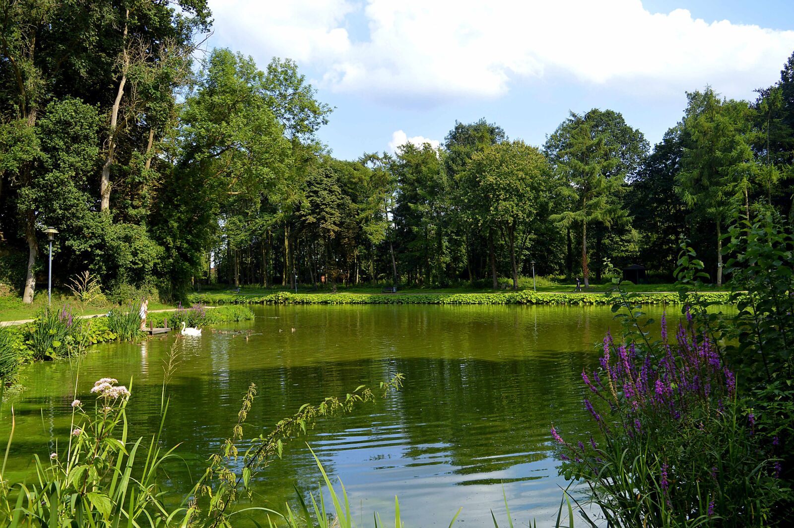 Nikon D3200 sample photo. Landscape, lake, pond photography