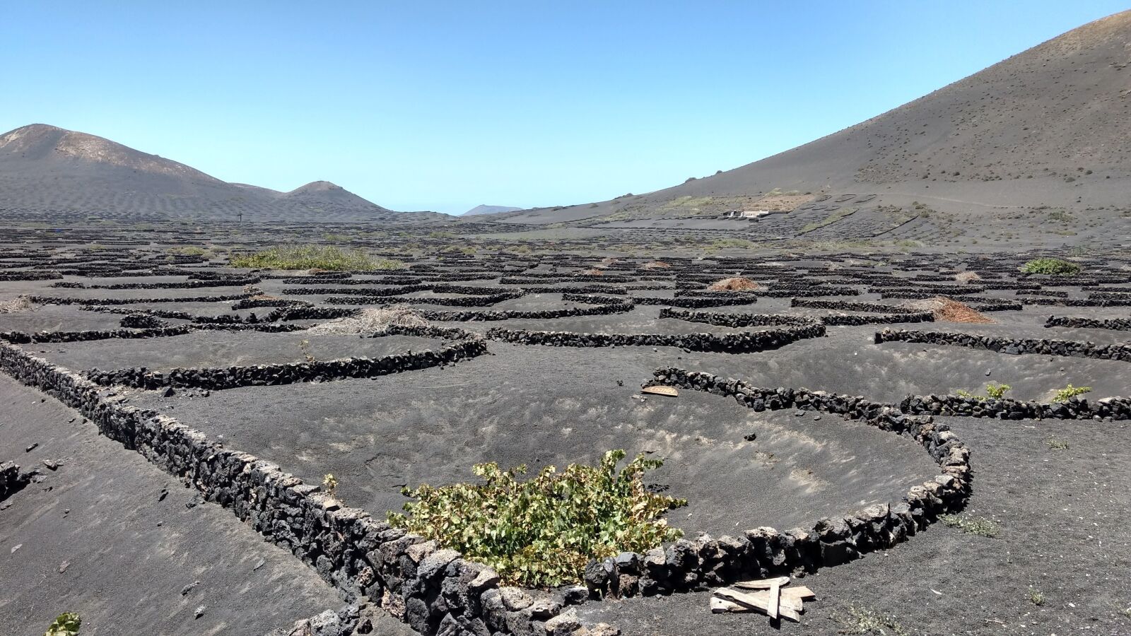 Motorola Moto Z Play sample photo. Lanzarote, wine, landscape photography