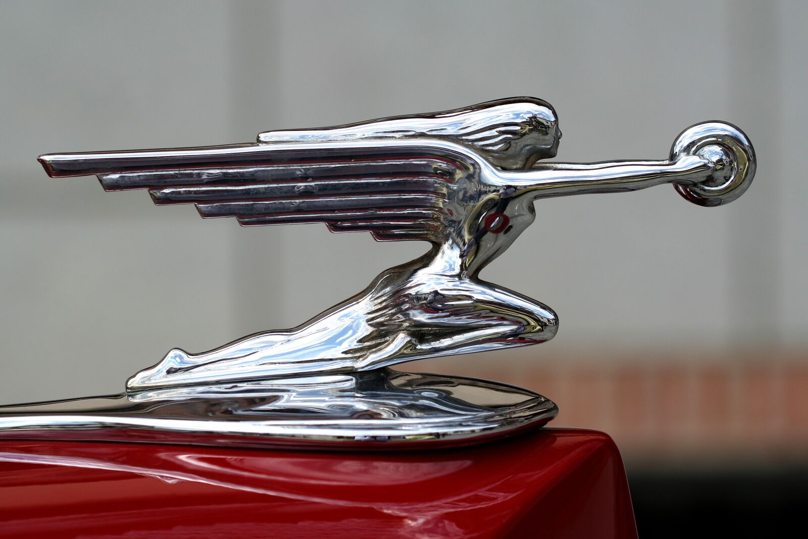 Canon EOS 350D (EOS Digital Rebel XT / EOS Kiss Digital N) sample photo. Hood ornament, packard, antique photography