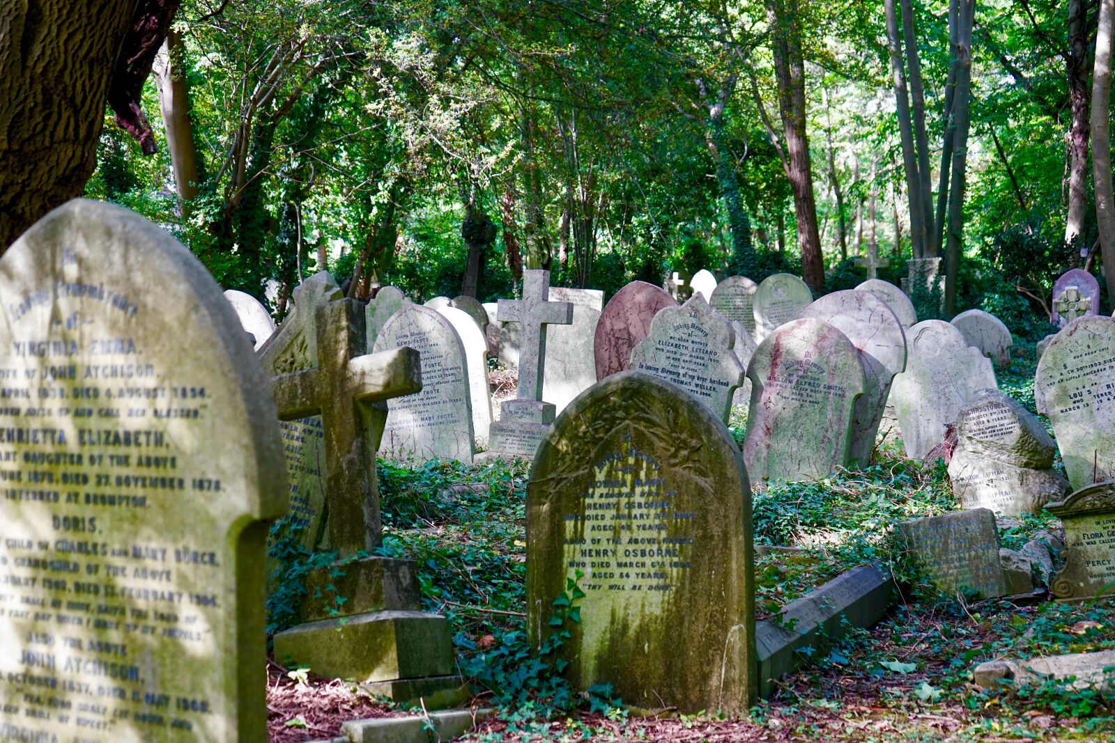 Sony a7 + Sony FE 28-70mm F3.5-5.6 OSS sample photo. Cemetery, stone, grave photography