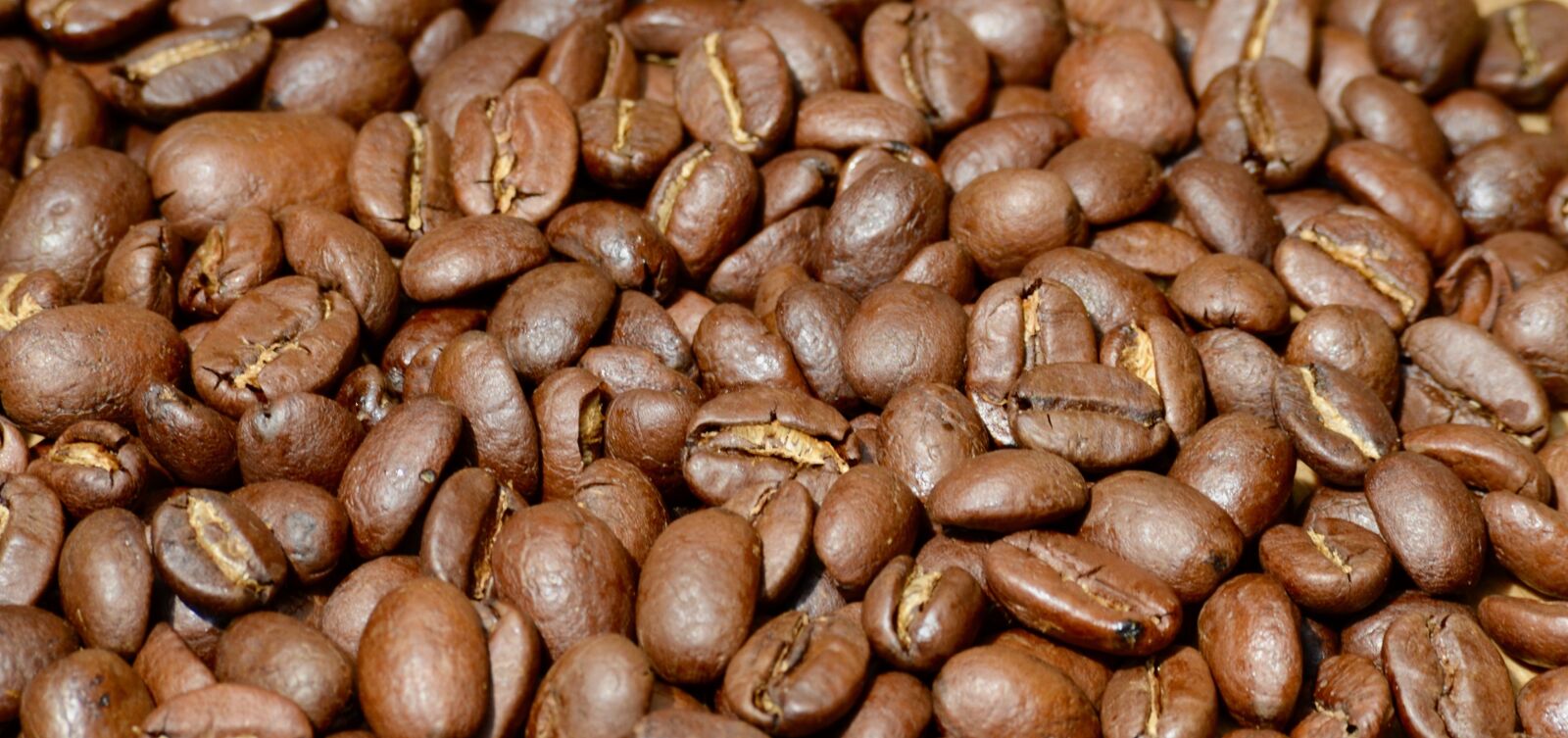 Nikon D5100 sample photo. Coffee, roasting, coffee beans photography