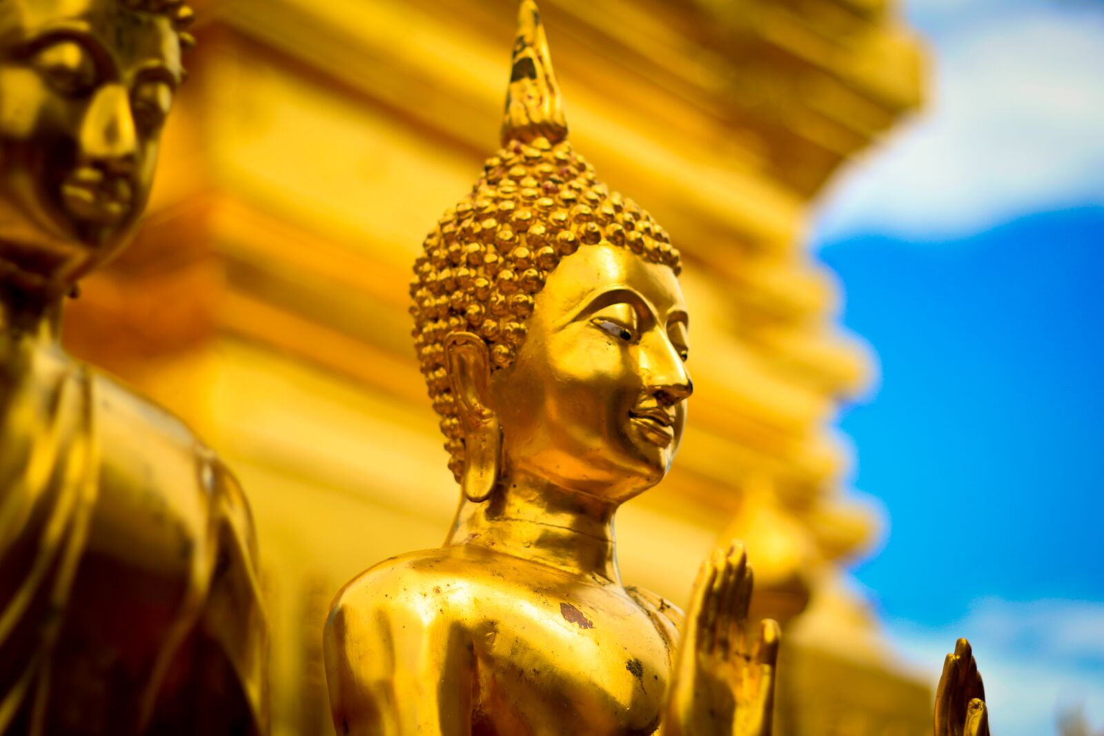 Canon EOS 550D (EOS Rebel T2i / EOS Kiss X4) + Canon EF 50mm F1.8 II sample photo. พระ, buddha, the rules photography