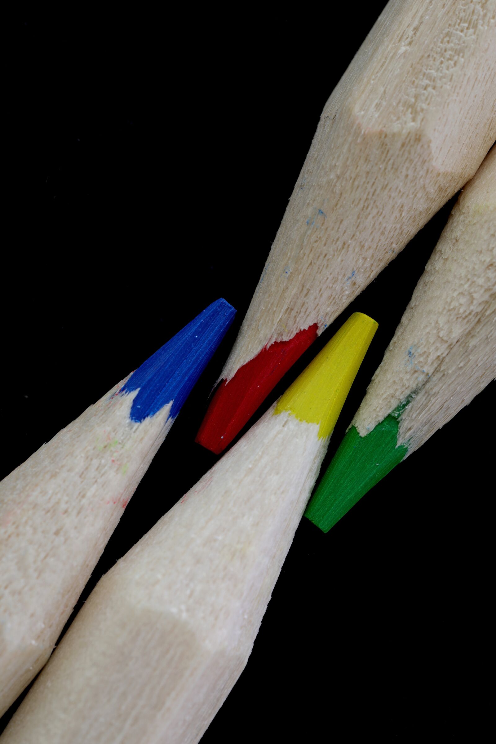 Canon MP-E 65mm F2.5 1-5x Macro Photo sample photo. Basic colors, color, yellow photography
