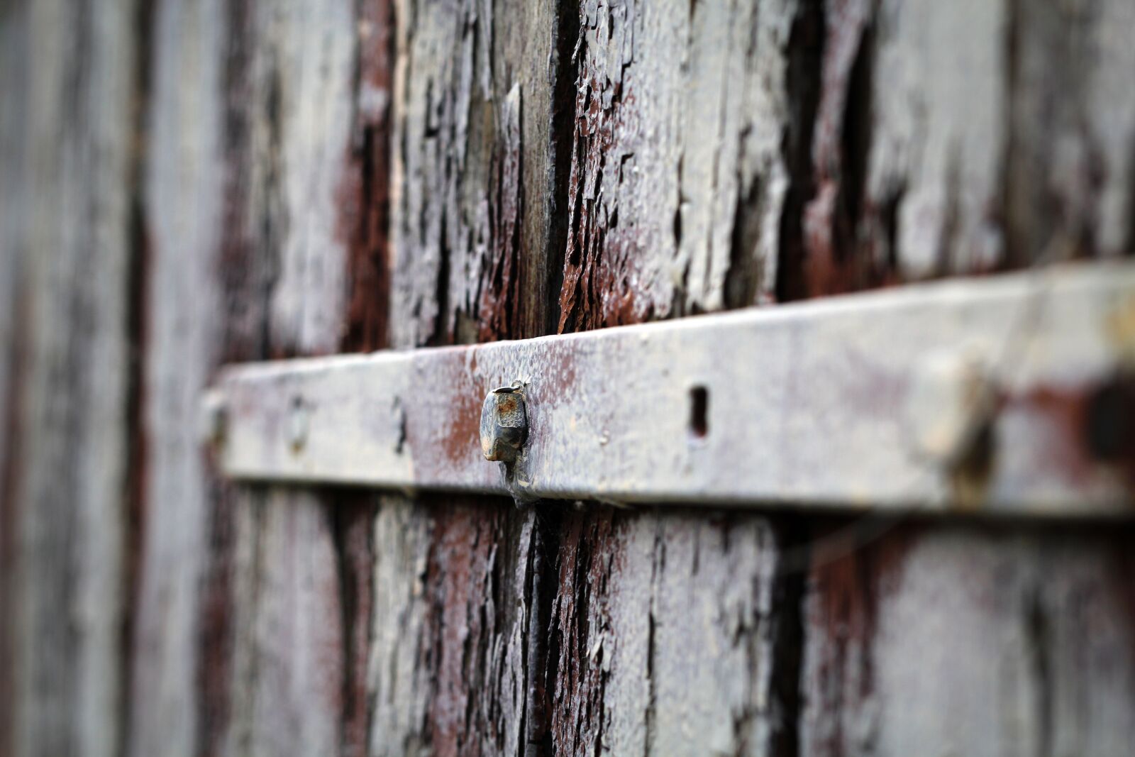 Canon EOS 1200D (EOS Rebel T5 / EOS Kiss X70 / EOS Hi) sample photo. The door, old, screw photography