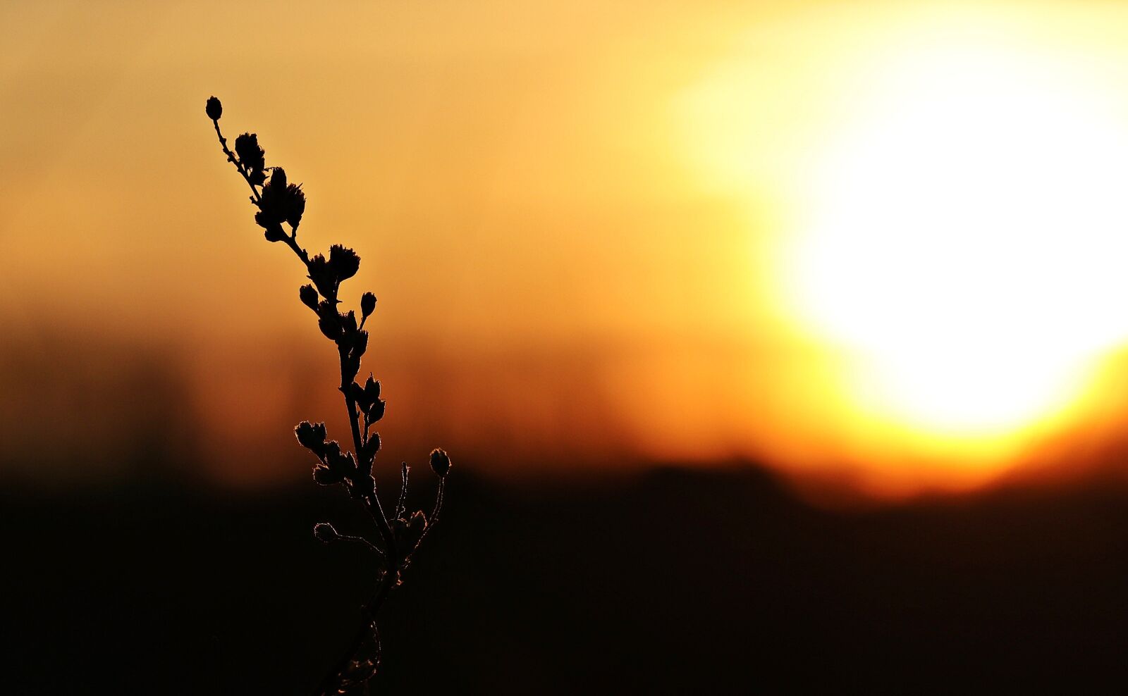 Canon EOS 80D sample photo. Sunset, sun, evening sky photography
