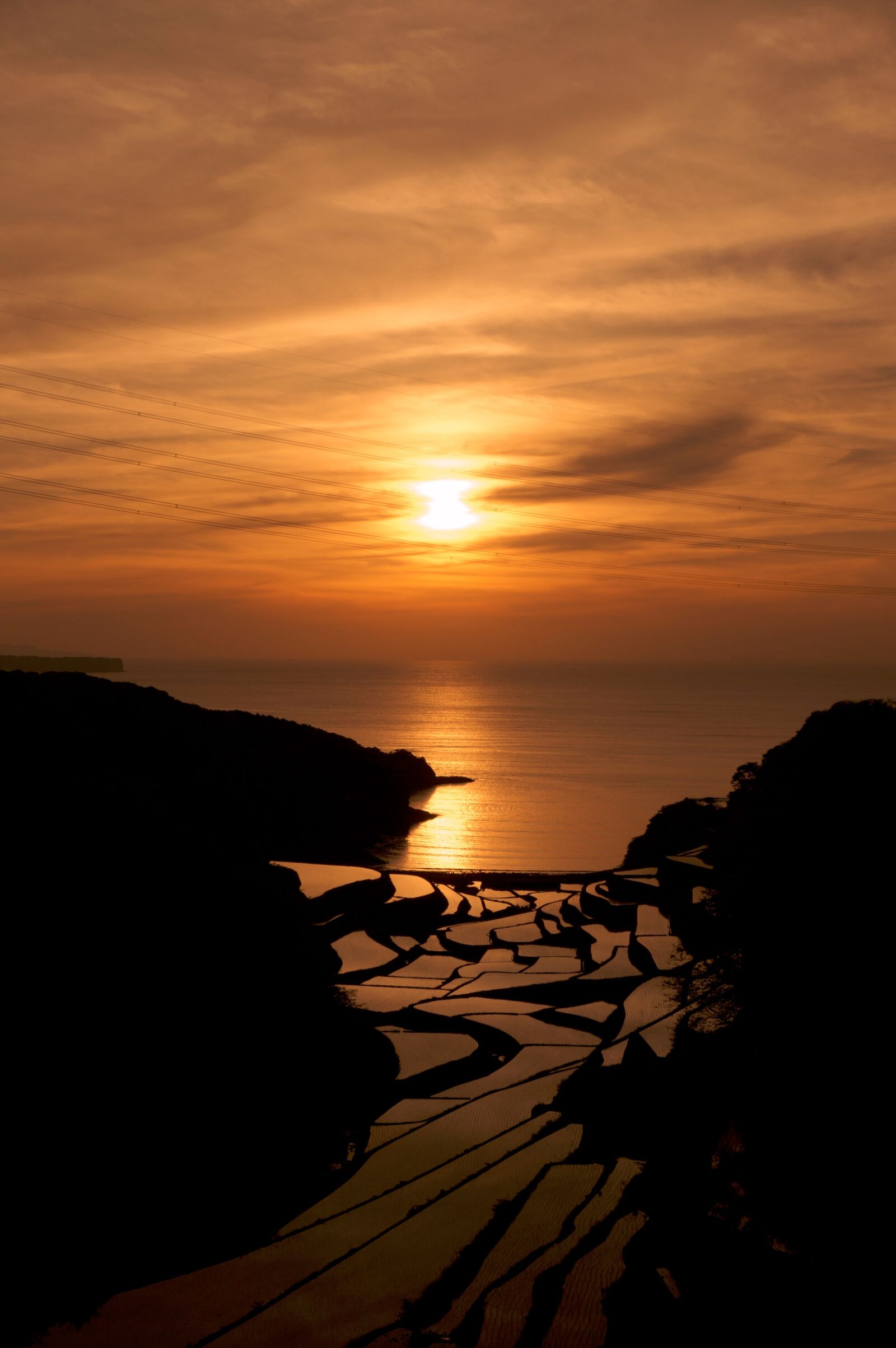 Sony Alpha NEX-6 sample photo. Rice terraces, sunset, golden photography