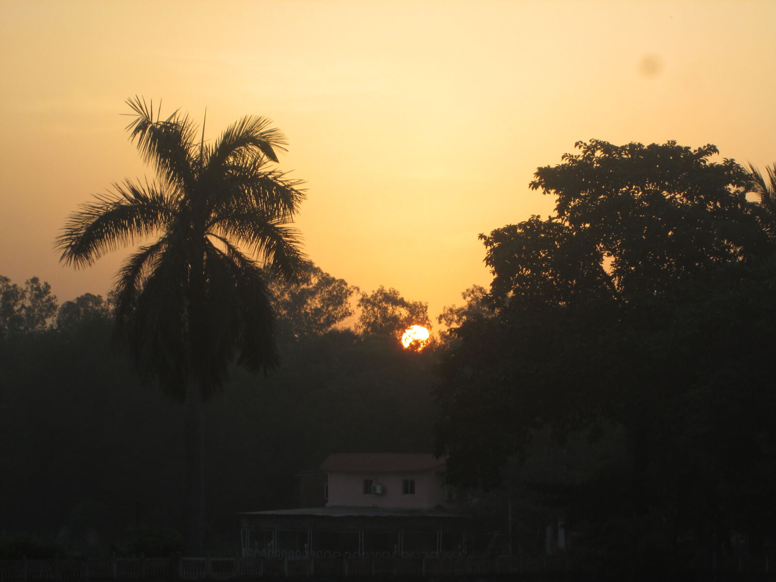 Canon PowerShot A2500 sample photo. Sun, sunrise photography