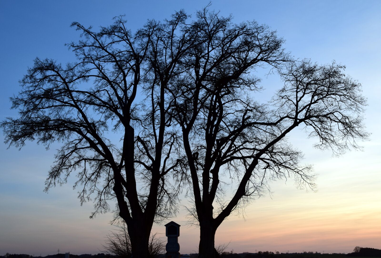 Nikon D3300 sample photo. Tree, winter, kahl photography