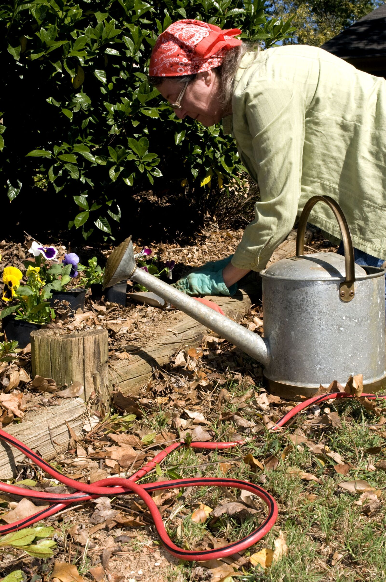 Nikon D300 sample photo. Gardening, woman, outdoors, sunny photography