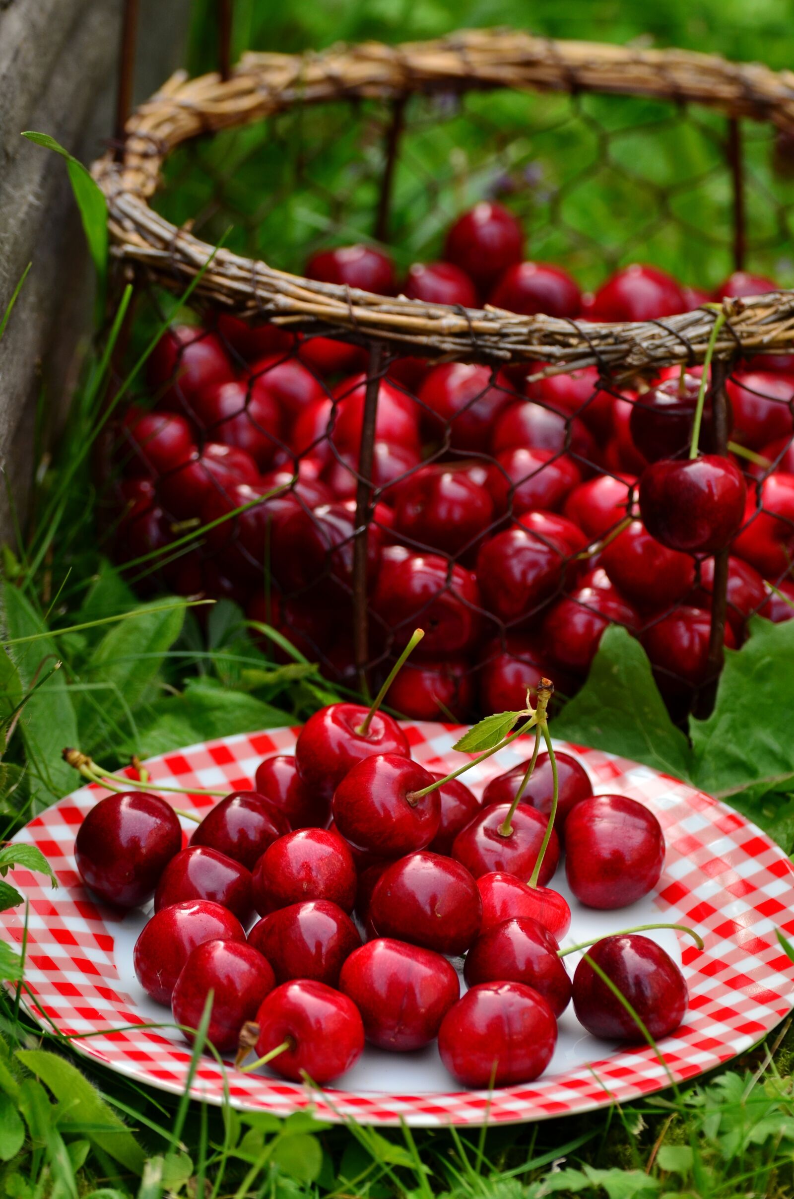 Nikon D5100 sample photo. Cherries, fruits, sweet cherry photography