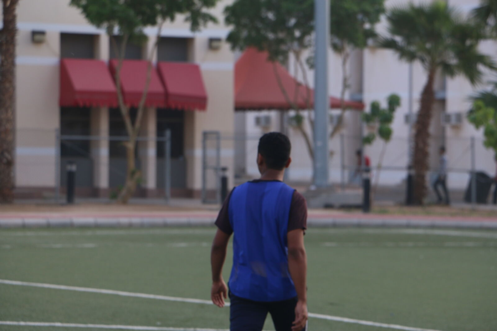 Canon EOS 70D sample photo