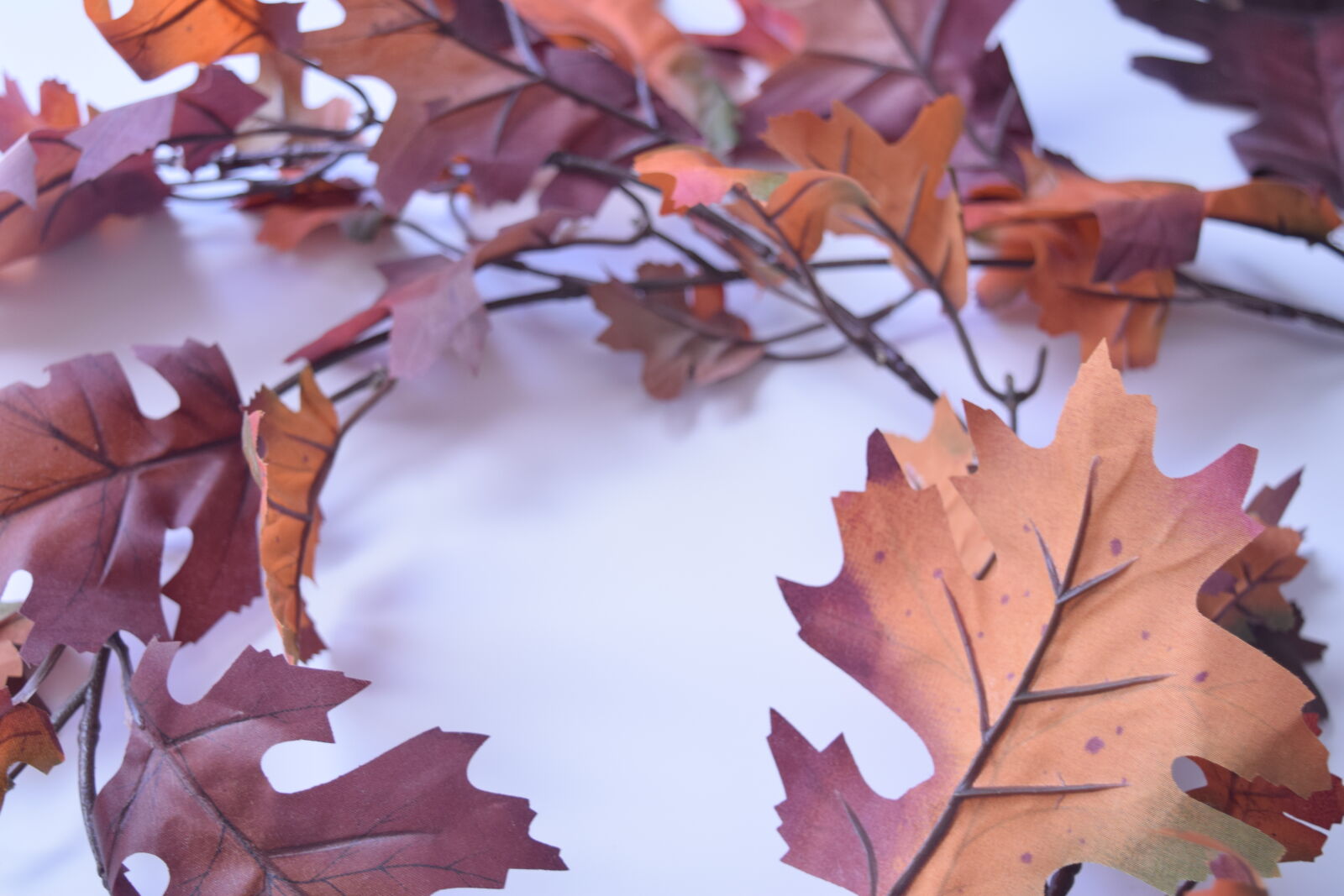 Nikon D3300 sample photo. Autumn, leaves, fall, fall photography