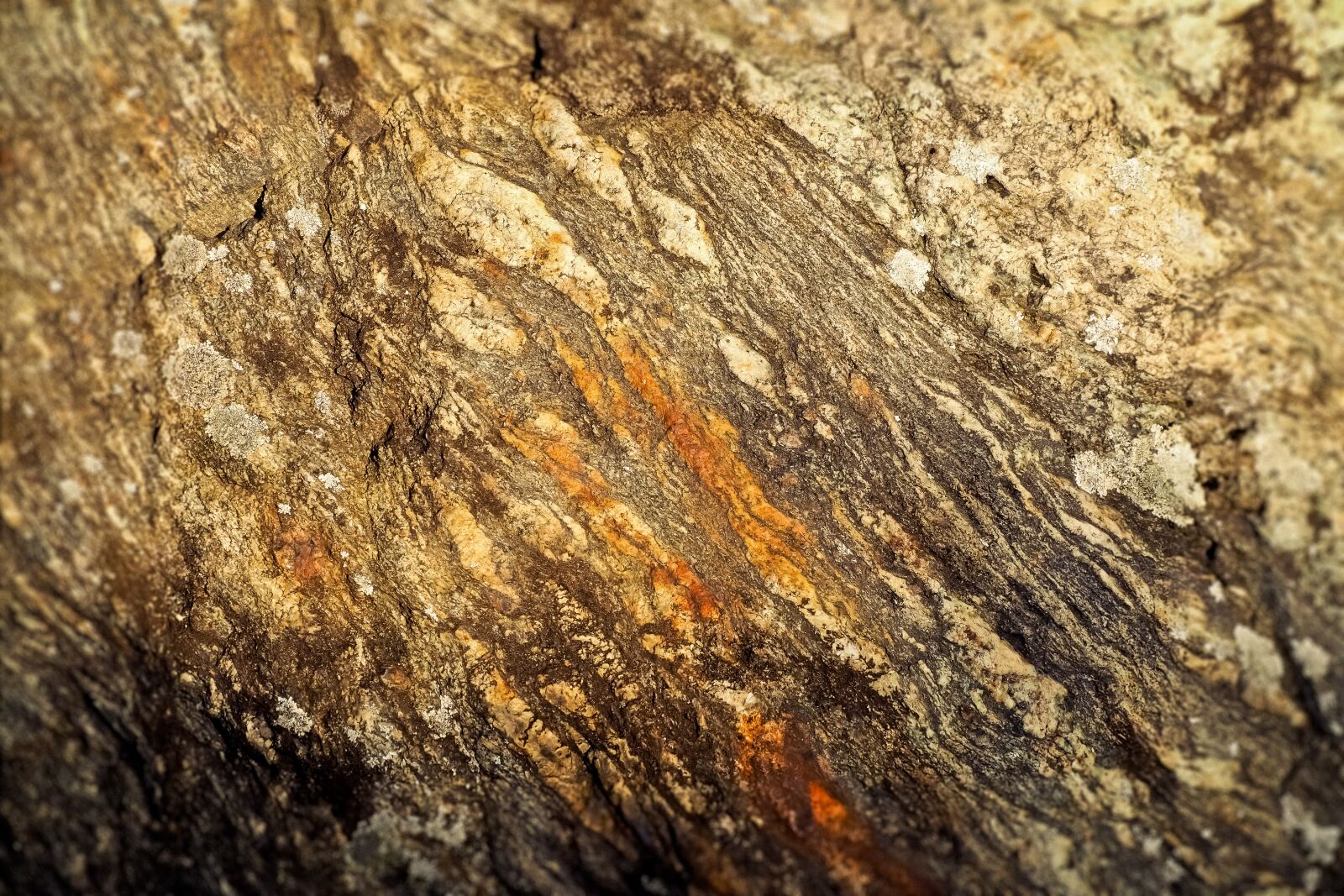 Olympus OM-D E-M10 sample photo. Stone, nature, background photography