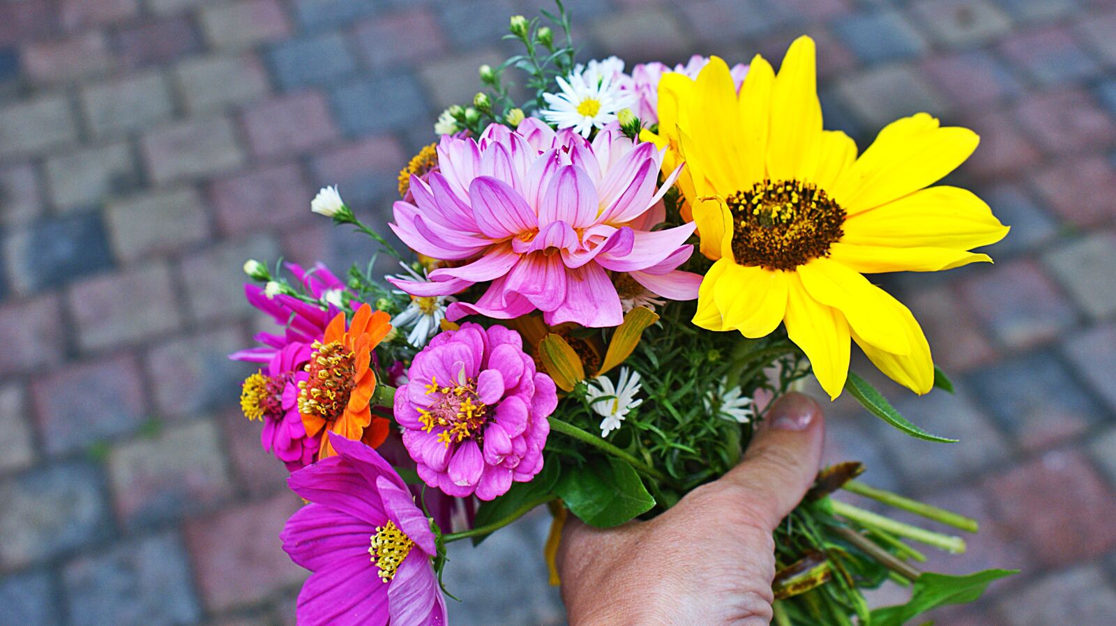 Sony Alpha DSLR-A350 sample photo. For you, bouquet, flowers photography