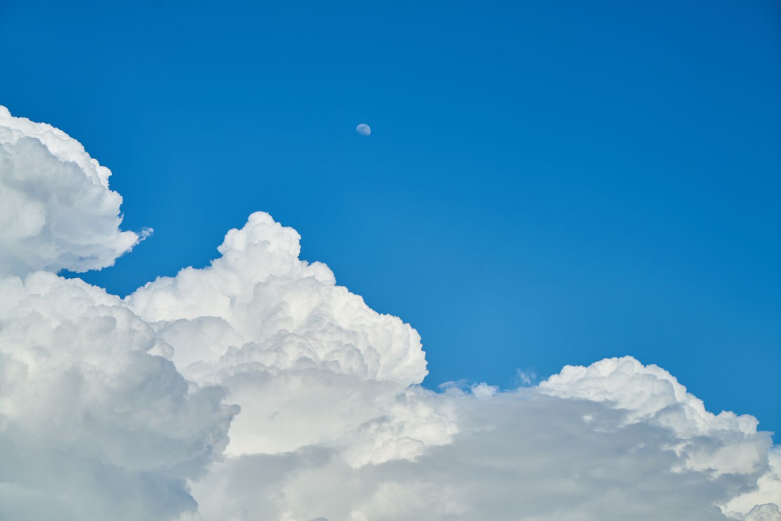 Sony a7R II sample photo. Blue, sky, background photography