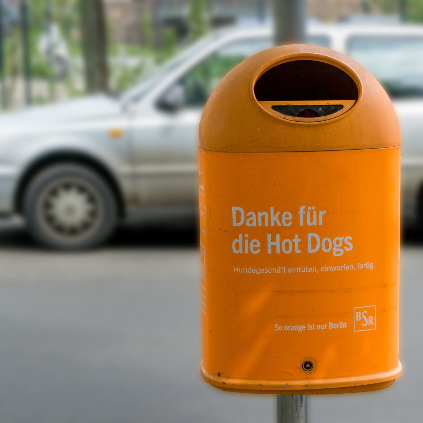 Sony a6000 + Sony E PZ 18-105mm F4 G OSS sample photo. Berlin, garbage, dog shit photography