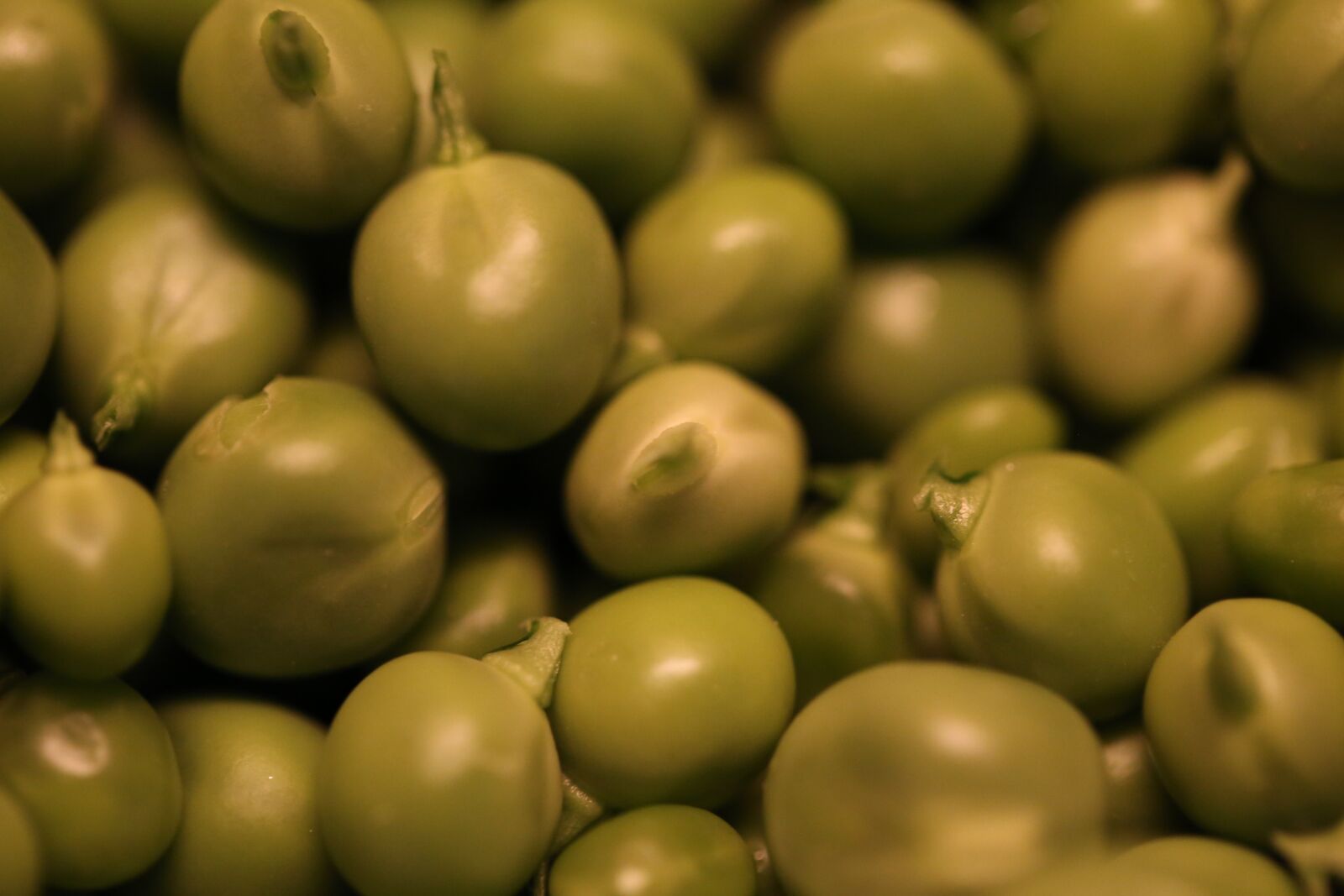 Canon EF 100mm F2.8L Macro IS USM sample photo. Peas, vegetables, green photography