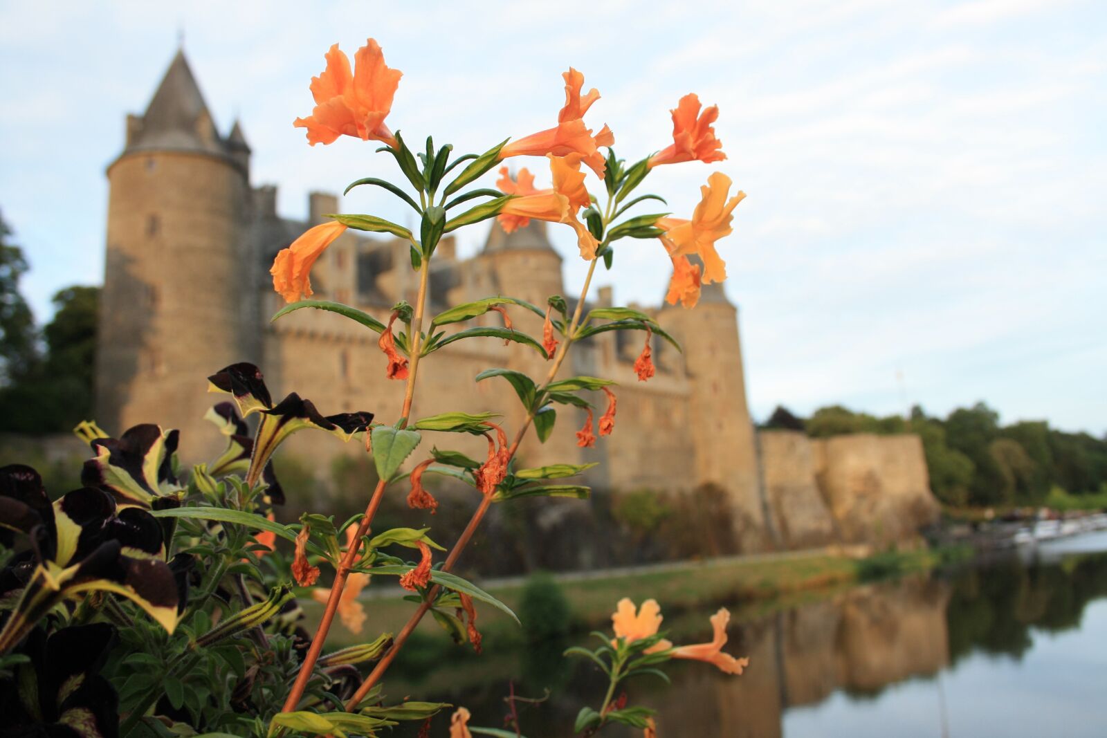Canon EOS 1000D (EOS Digital Rebel XS / EOS Kiss F) sample photo. Castle, middle ages, france photography