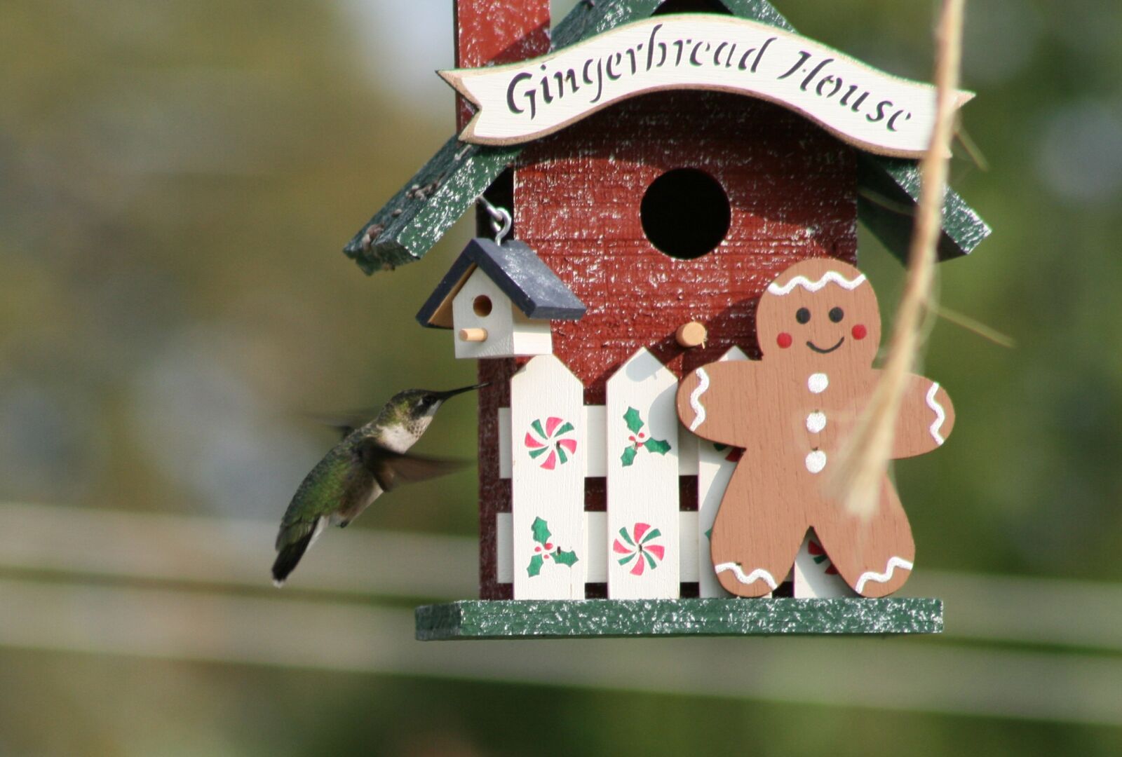 Canon EOS 400D (EOS Digital Rebel XTi / EOS Kiss Digital X) sample photo. Birdhouse, bird, little photography