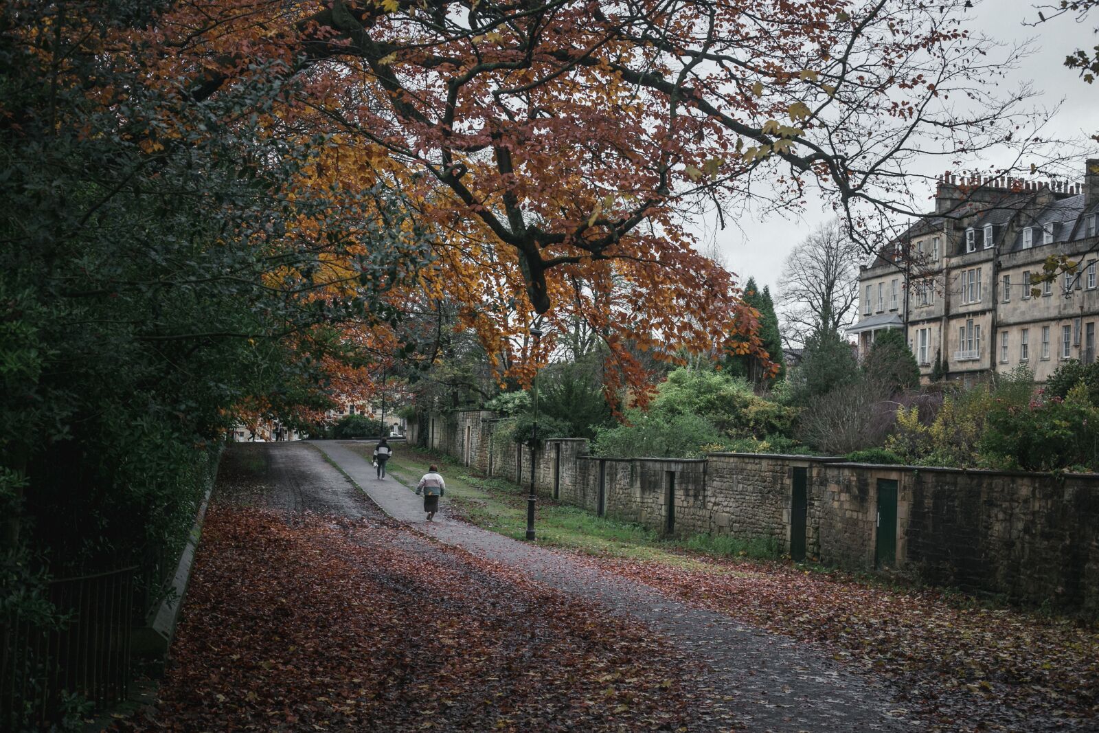 Canon EF 50mm F1.8 II sample photo. Walkway, path, way photography