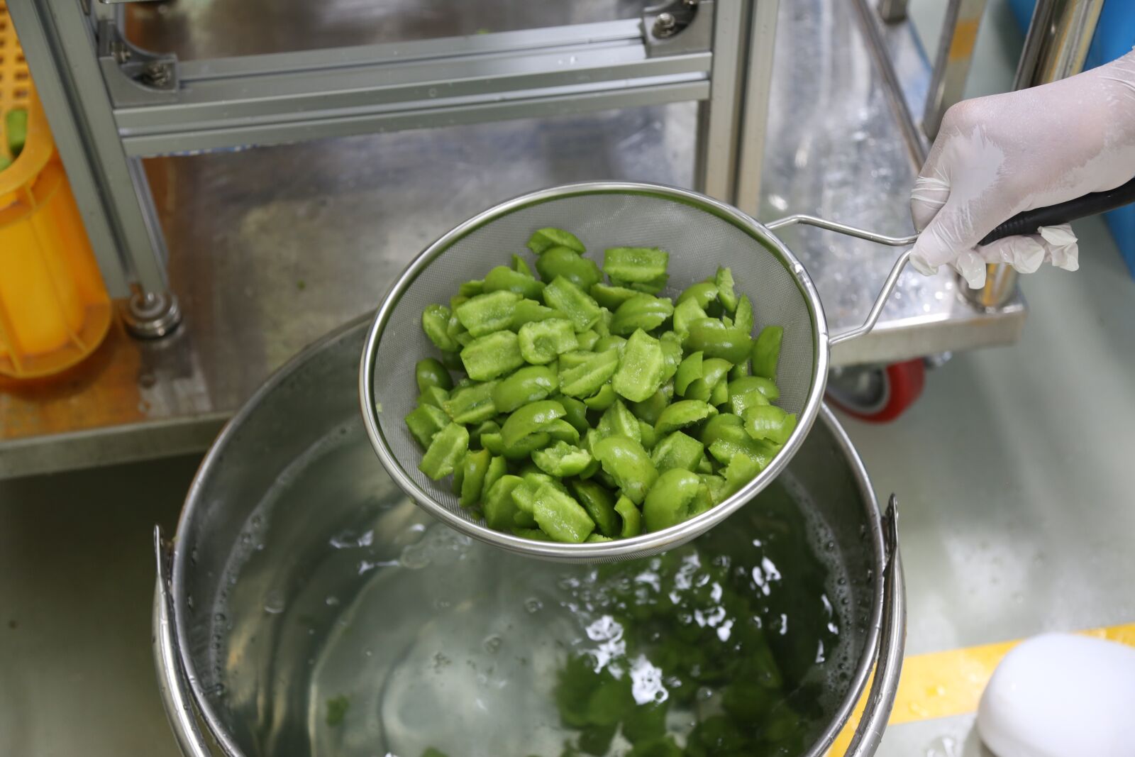Canon EF 24-105mm F4L IS USM sample photo. Plum, processing, agricultural products photography