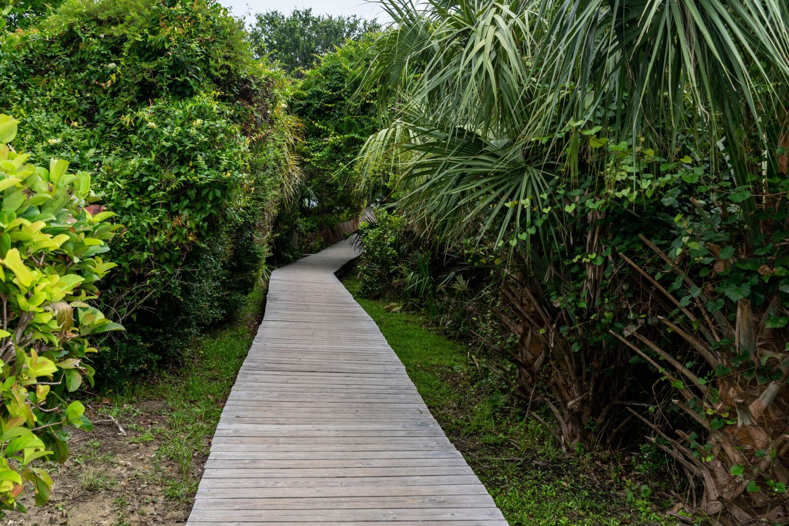 Nikon D5300 sample photo. Beach path, board walk photography
