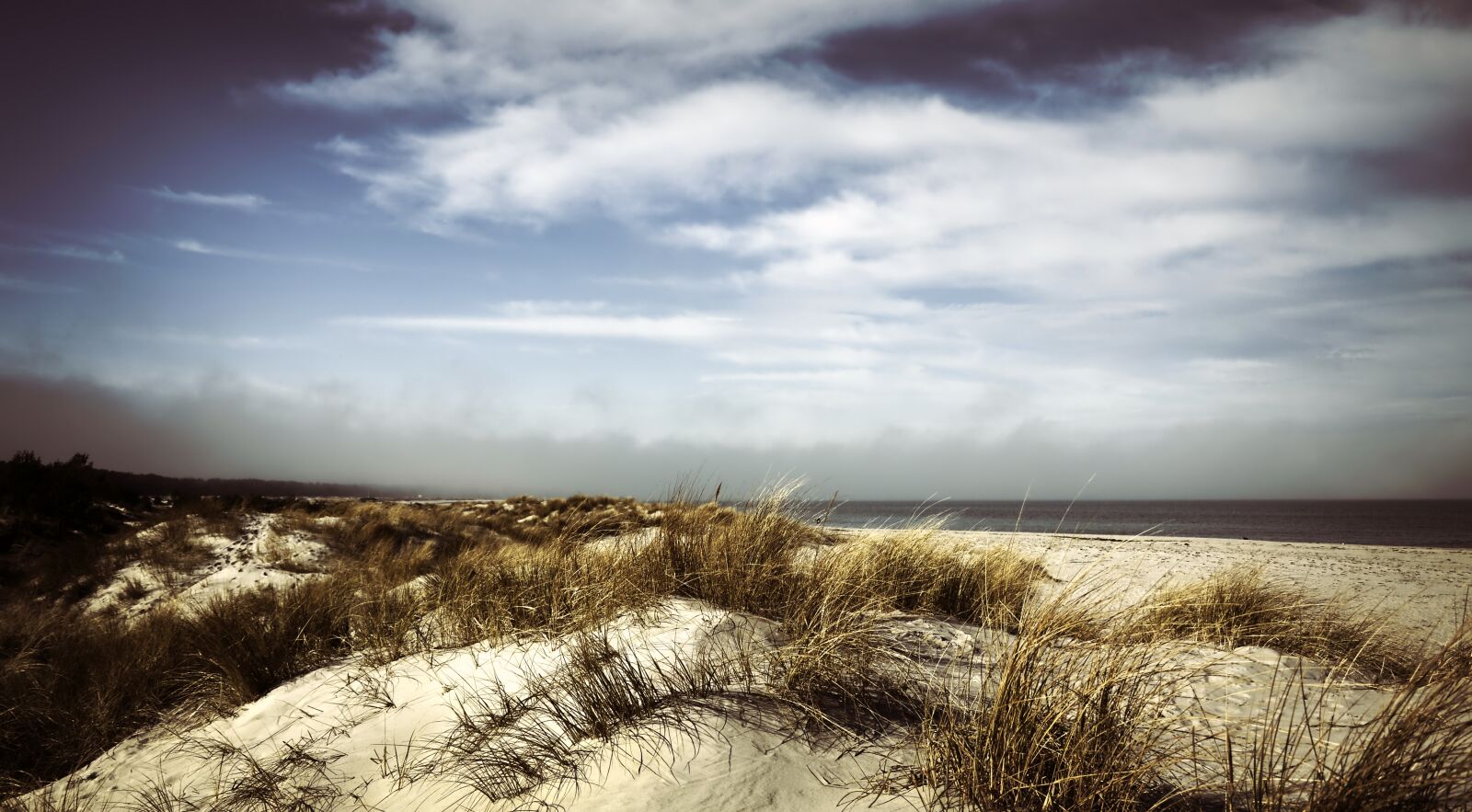 Nikon D3200 sample photo. Dunes, dune landscape, marram photography