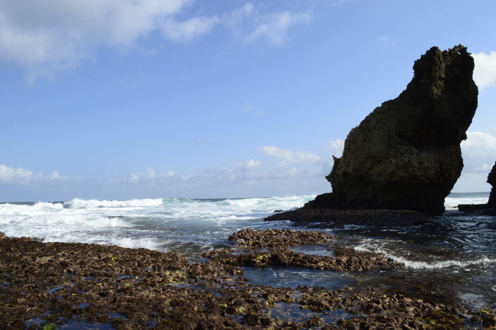 Nikon D3200 sample photo. Beach, nature, java photography