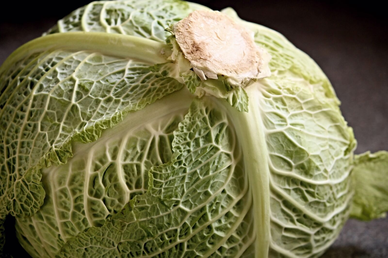 Canon EOS 1100D (EOS Rebel T3 / EOS Kiss X50) sample photo. Savoy, savoy cabbage head photography