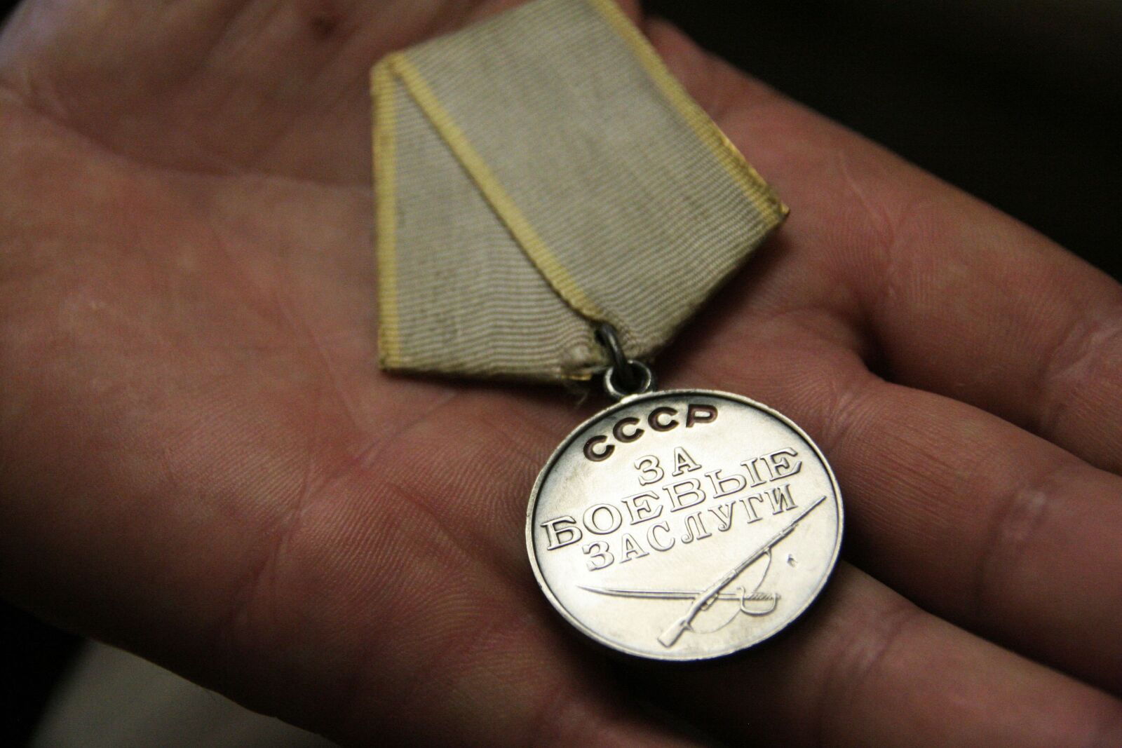 Canon EOS 350D (EOS Digital Rebel XT / EOS Kiss Digital N) sample photo. Medal, reward, decoration photography