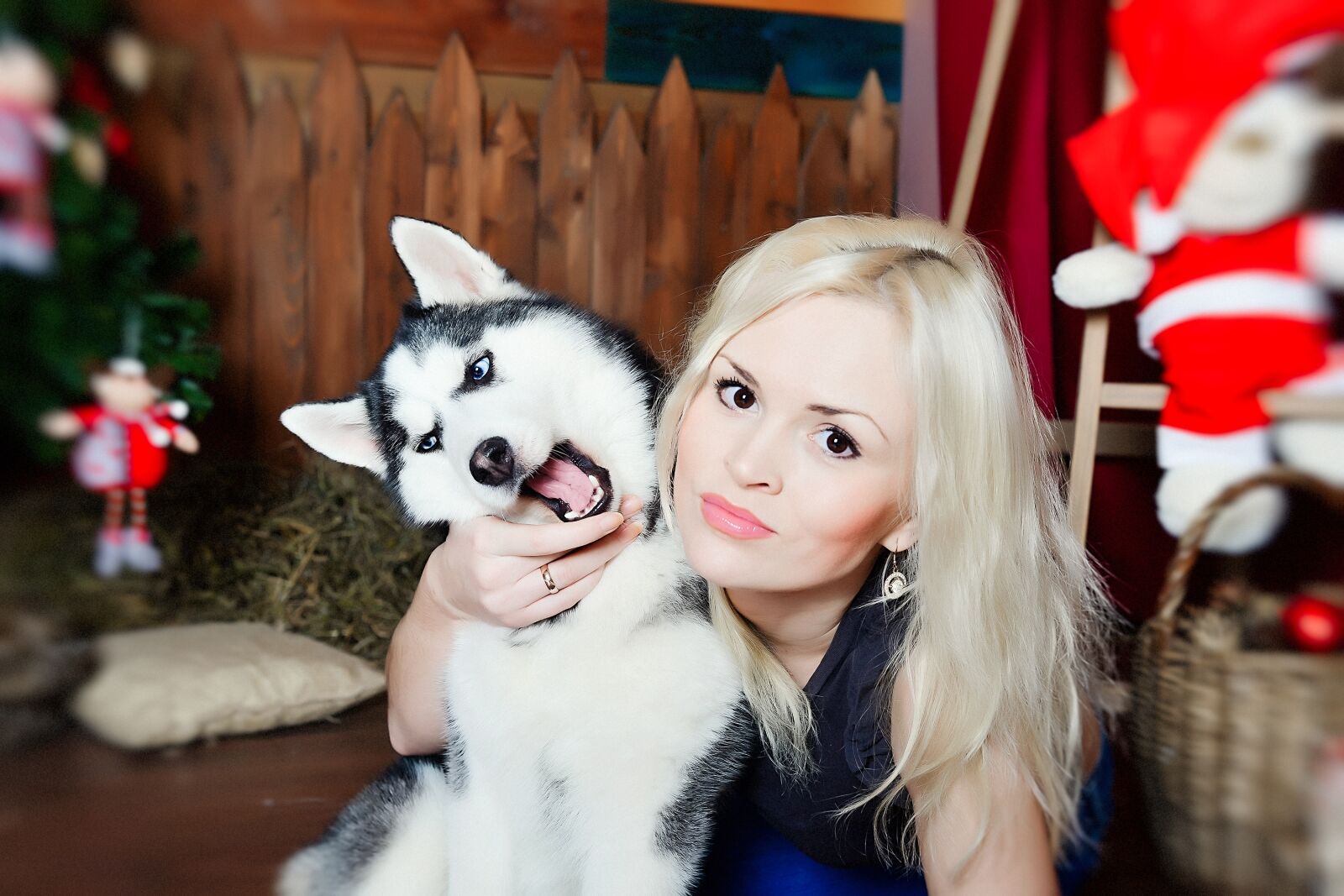 Nikon D800 sample photo. Blonde with husky, girl photography