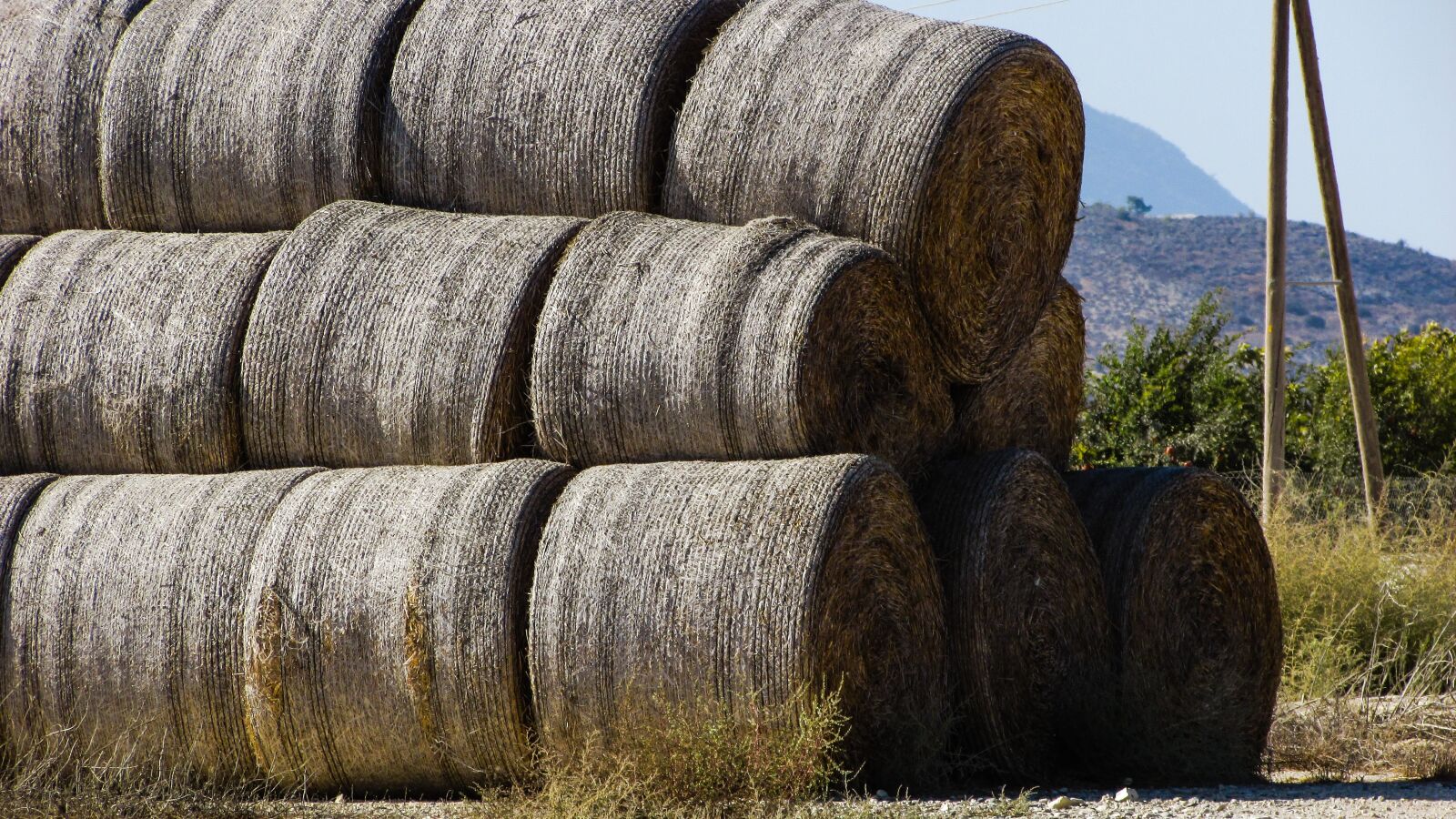 Canon PowerShot SX400 IS sample photo. Forage, dry grass, countryside photography