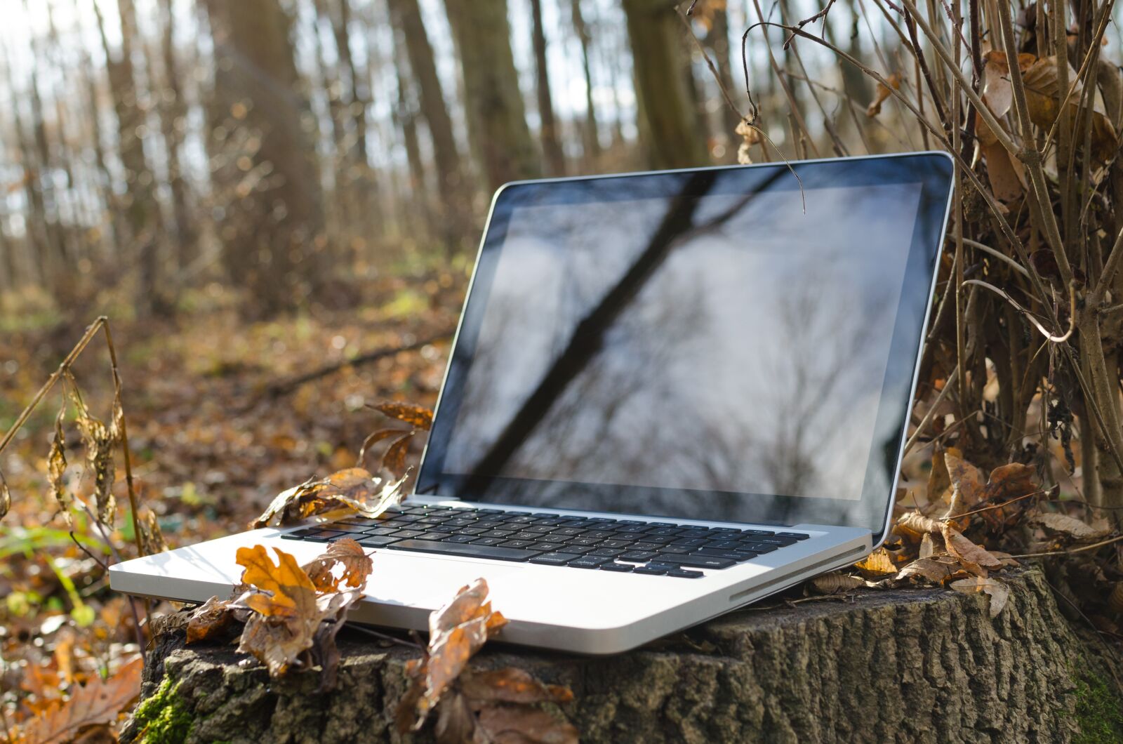 Nikon D5100 sample photo. Laptop, computer, pc photography