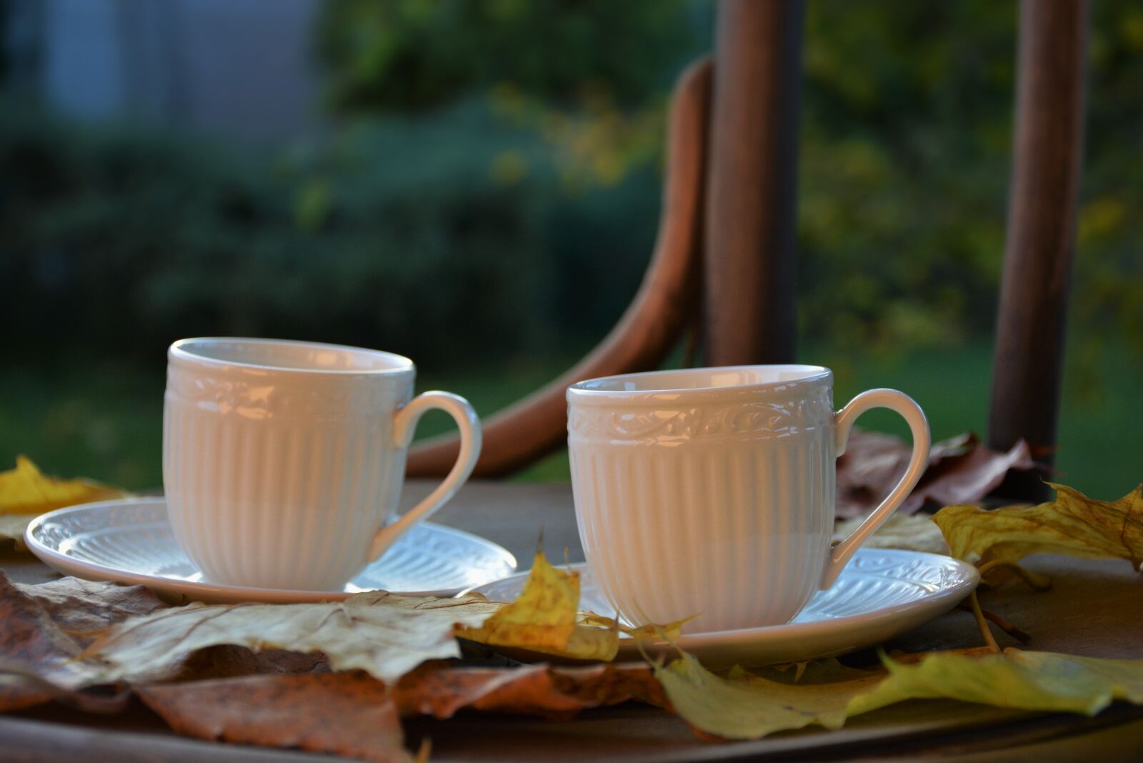 Nikon D5200 sample photo. Autumn, mugs, leaves photography