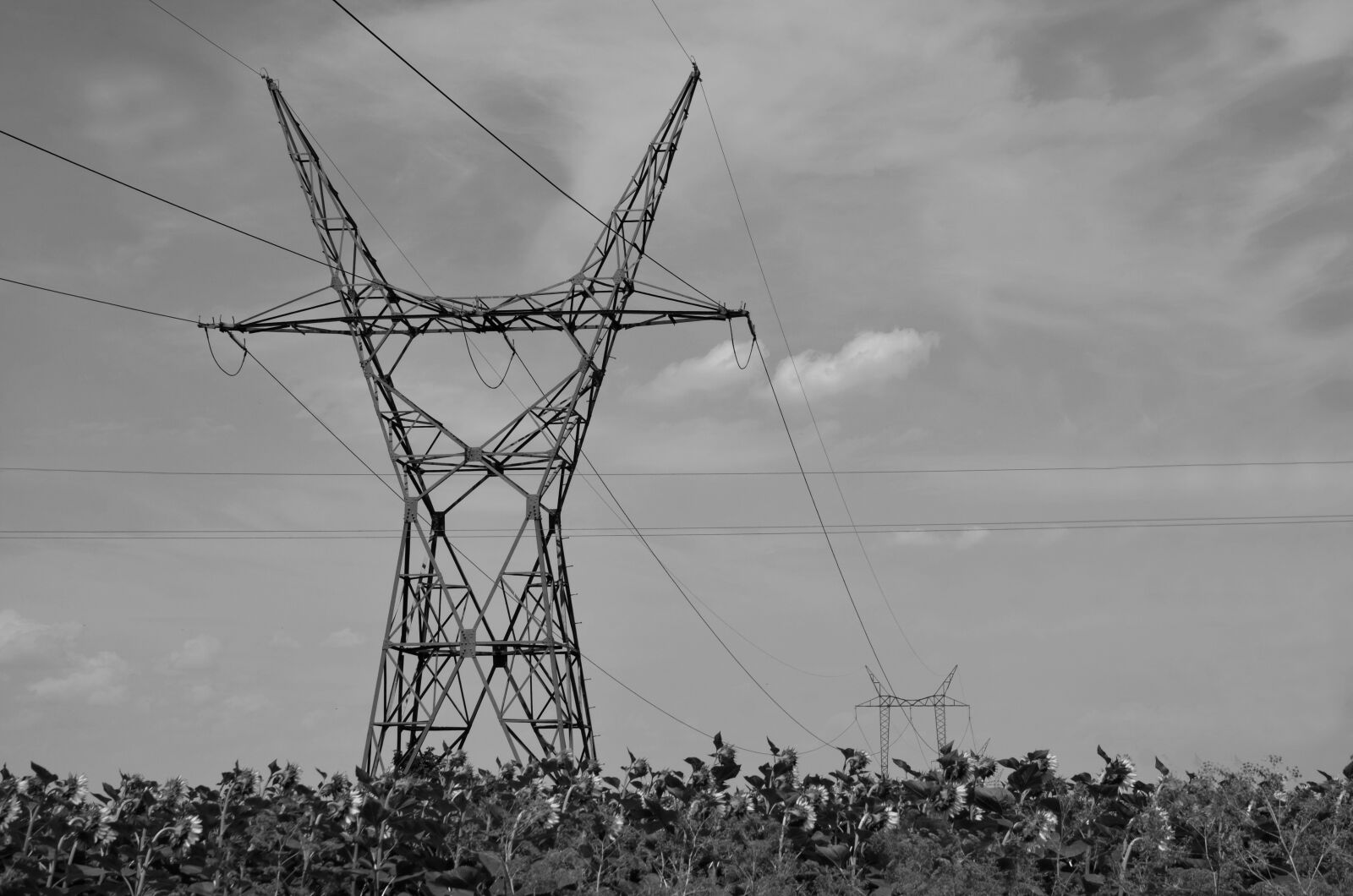 Nikon D7000 sample photo. High voltage, electric power photography