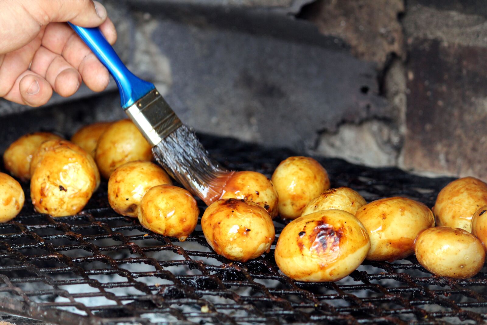 Canon EOS 650D (EOS Rebel T4i / EOS Kiss X6i) sample photo. Barbecue, brush, potatoes photography