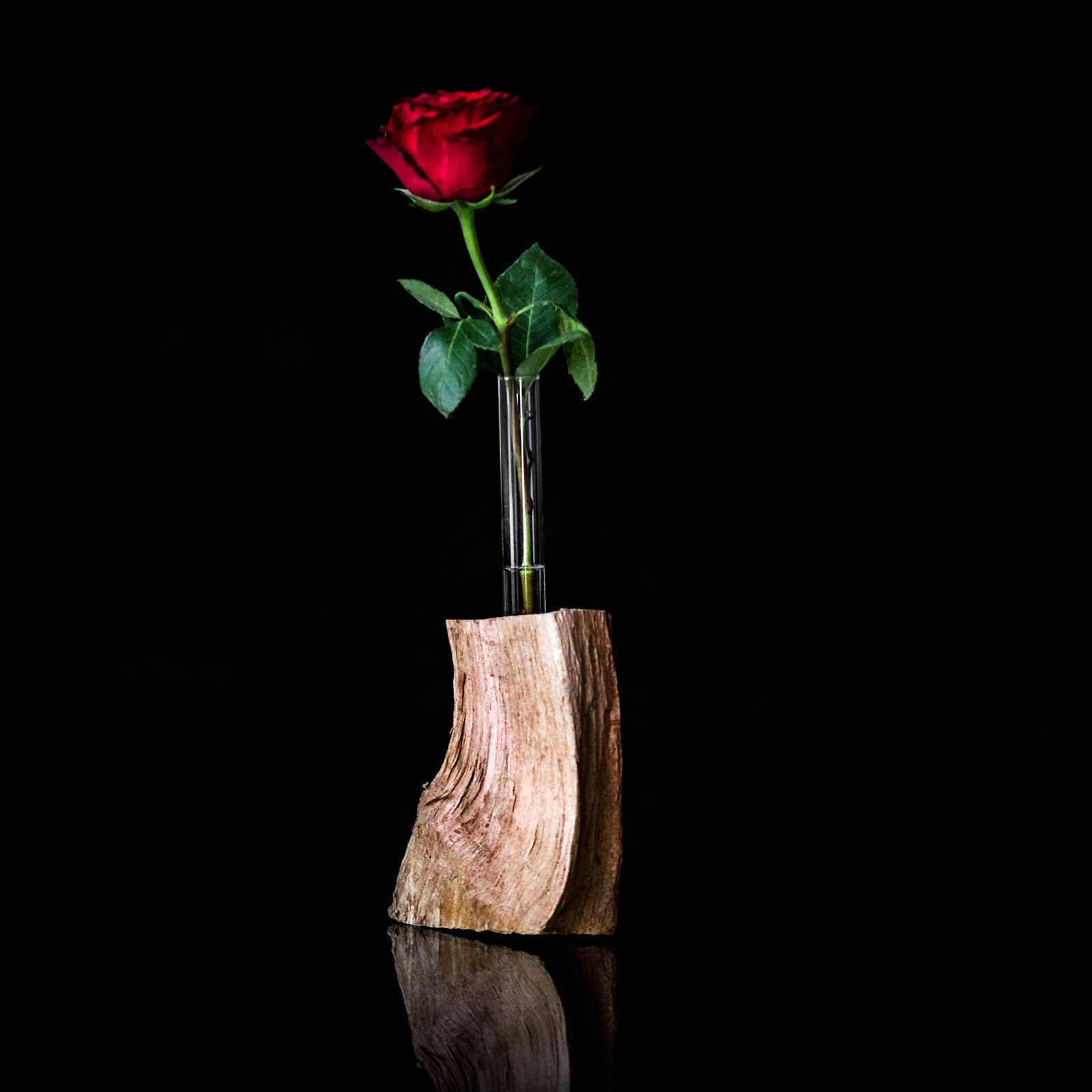Canon EOS 600D (Rebel EOS T3i / EOS Kiss X5) sample photo. Flower, vase, leaf photography