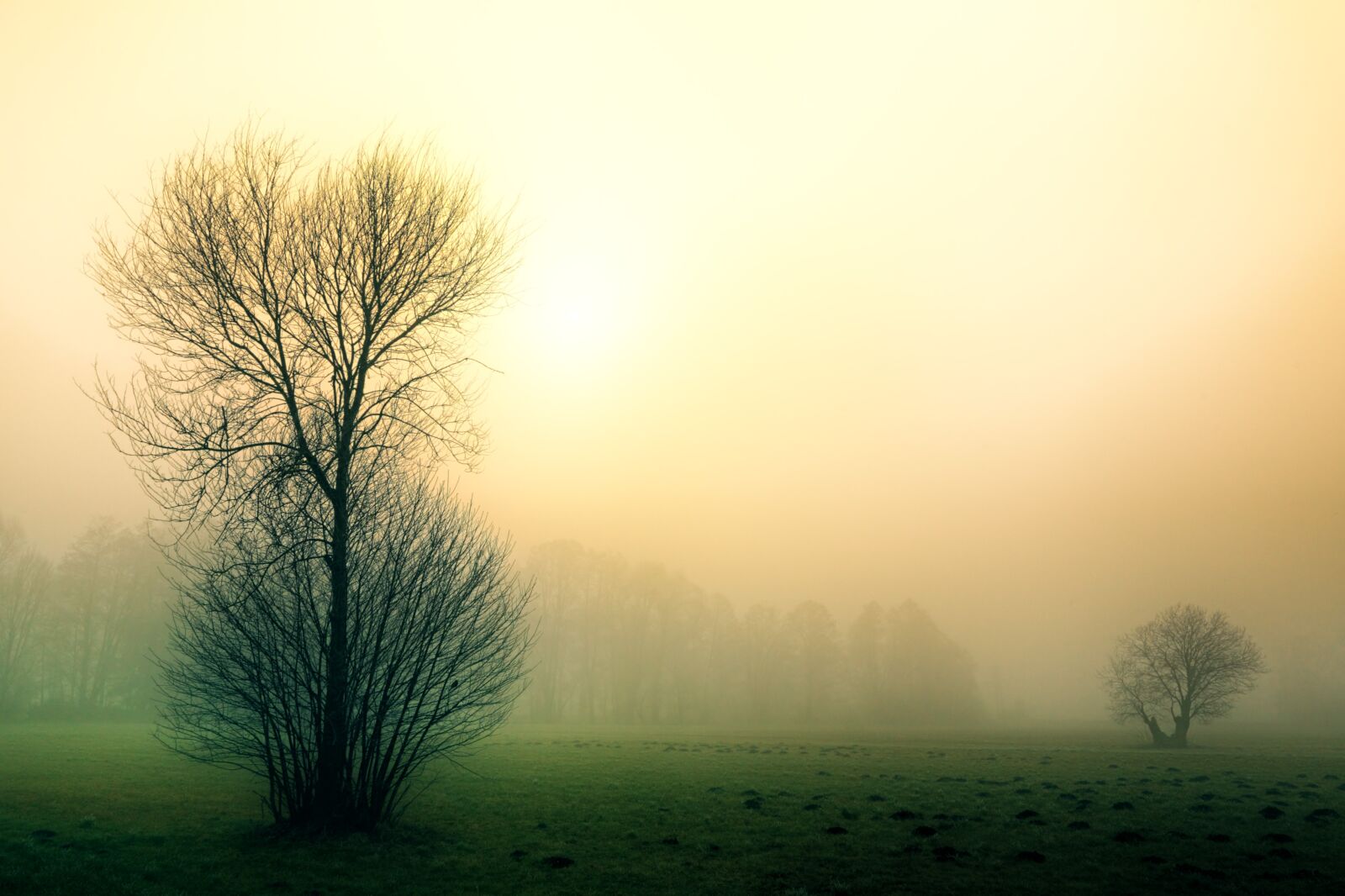 Canon EOS 5D sample photo. Dawn, fog, nature photography