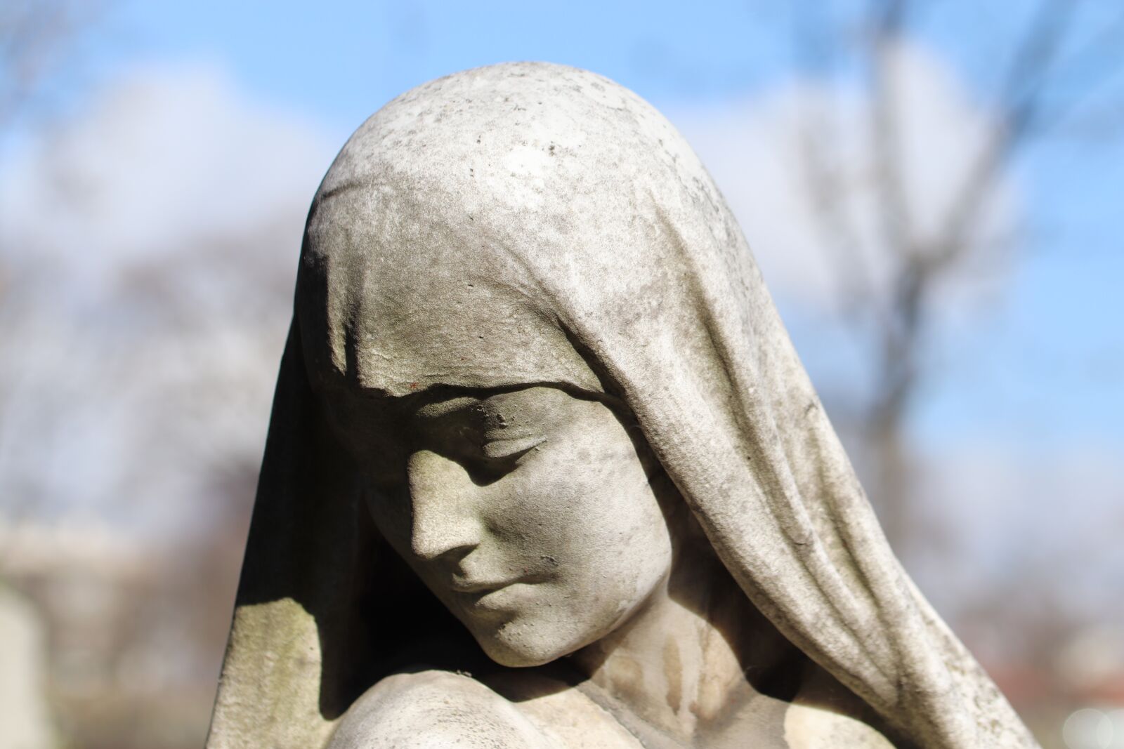 Canon EOS 800D (EOS Rebel T7i / EOS Kiss X9i) sample photo. Sculpture, statue, cemetery photography