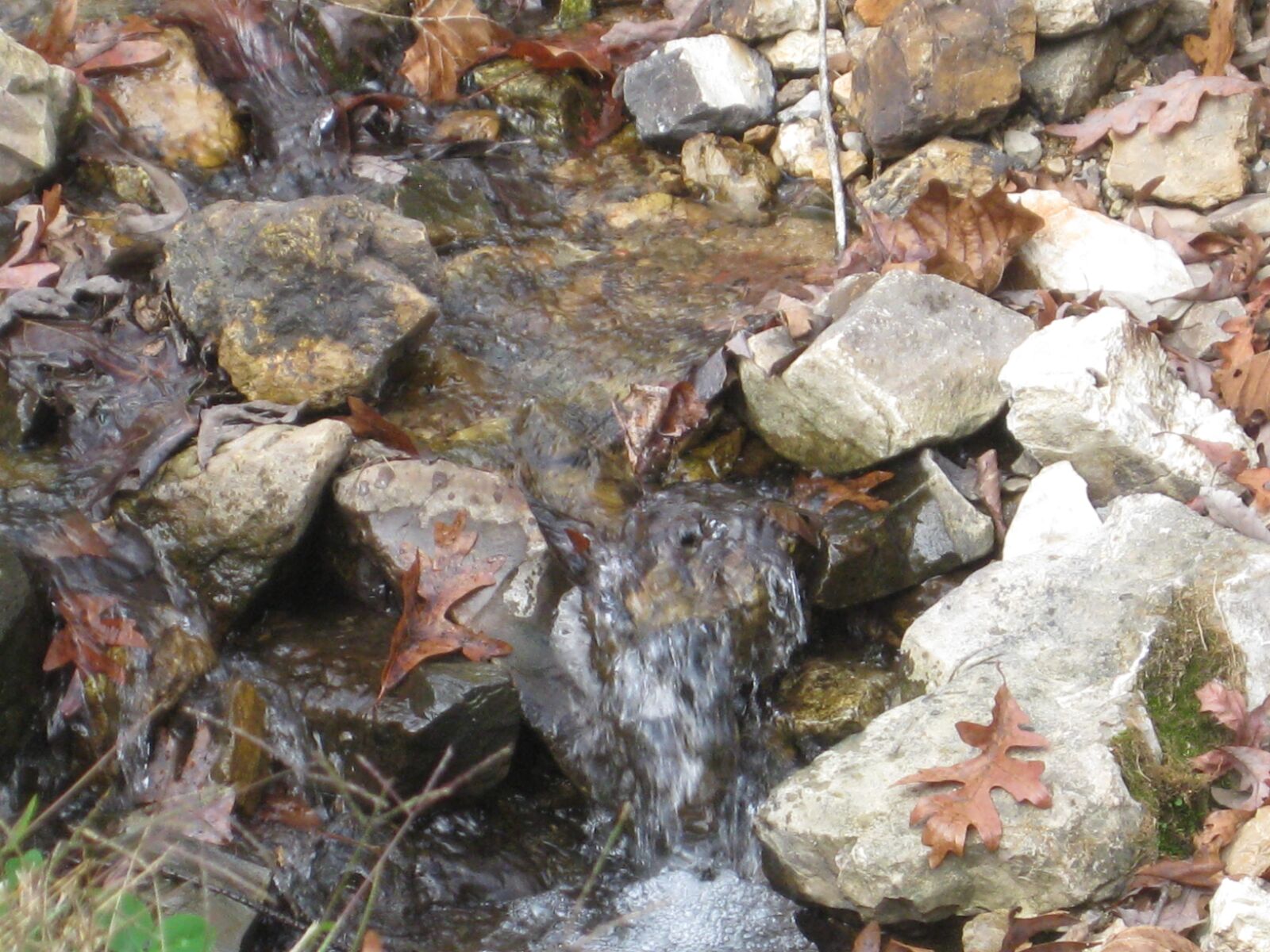 Canon PowerShot SD1100 IS (Digital IXUS 80 IS / IXY Digital 20 IS) sample photo. Water, rocks, creek photography