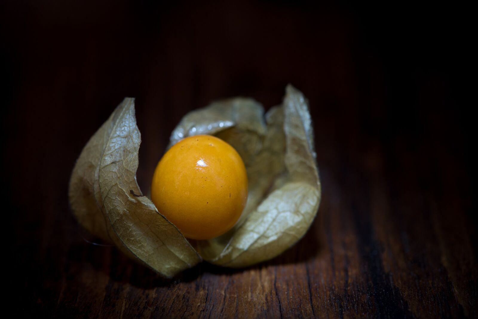 Nikon D750 sample photo. Physalis, physalis peruviana, cape photography