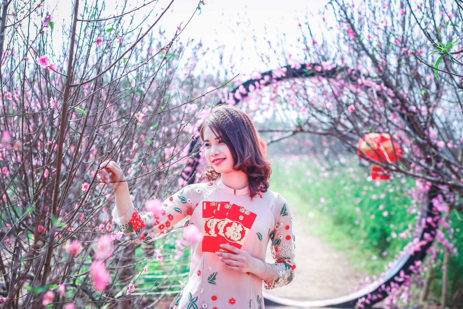 Canon EF 85mm F1.8 USM sample photo. Flower, nature, tree photography