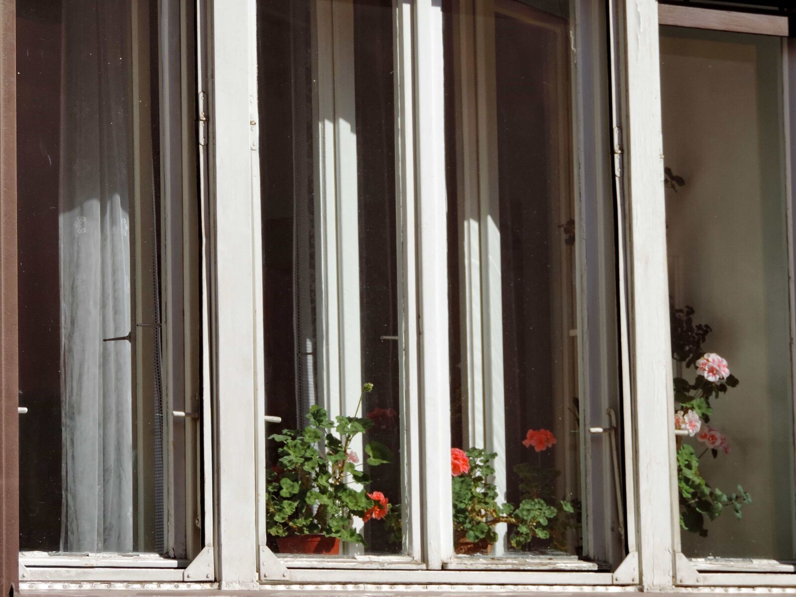 Nikon Coolpix P520 sample photo. Flowerpot, building, architecture, window photography