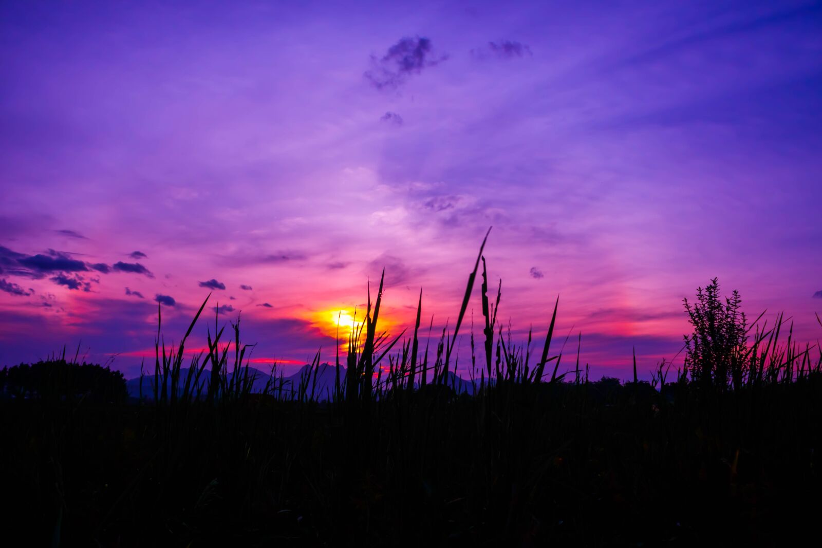 Canon EOS 100D (EOS Rebel SL1 / EOS Kiss X7) sample photo. Twilight, rainbow, field photography