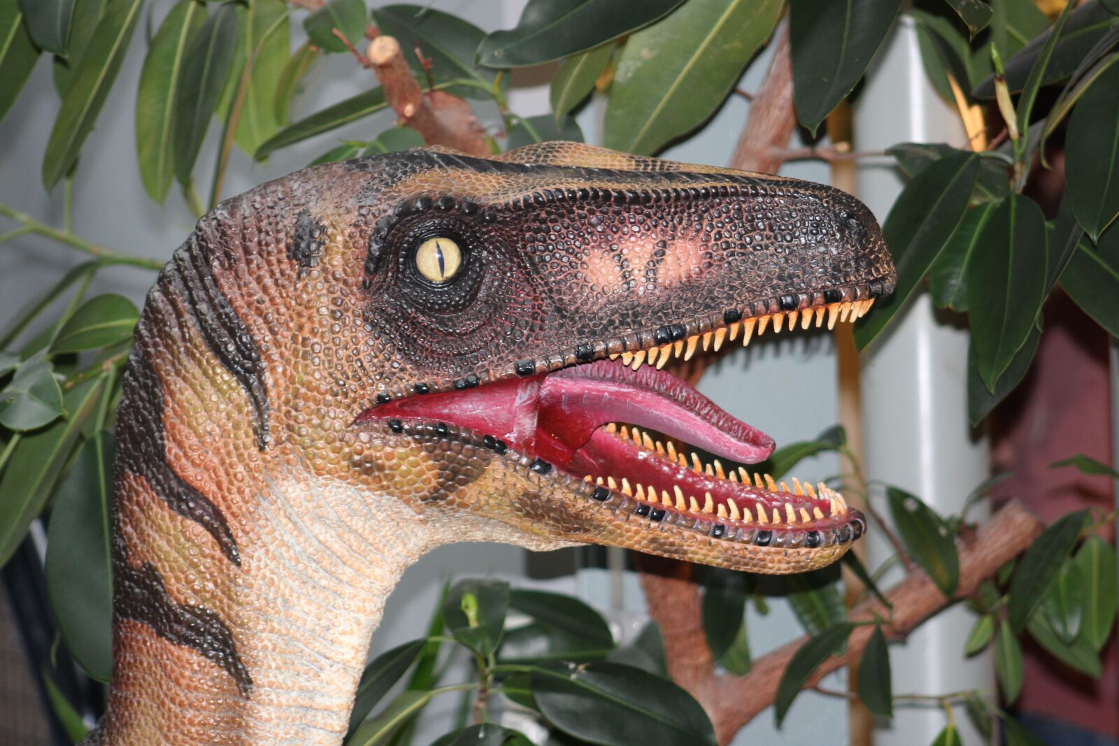 Canon EOS 2000D (EOS Rebel T7 / EOS Kiss X90 / EOS 1500D) sample photo. Dino, dinosaur, prehistoric times photography