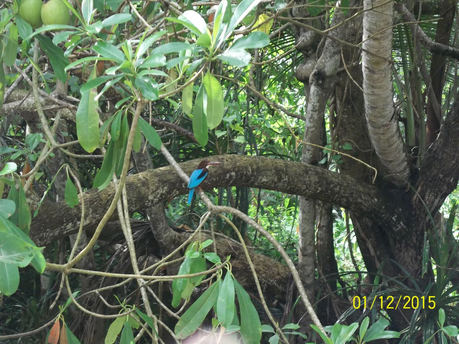 Kodak EASYSHARE CAMERA, M522 sample photo. Kanyakumari, nature, sea photography
