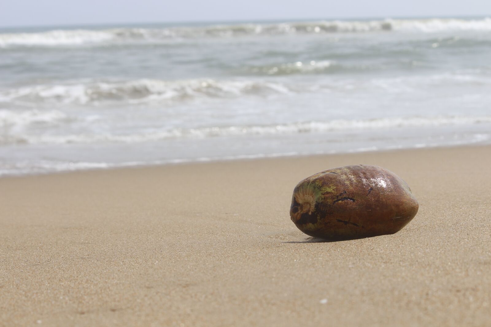 Canon EOS 700D (EOS Rebel T5i / EOS Kiss X7i) sample photo. Beach, sand, sea photography