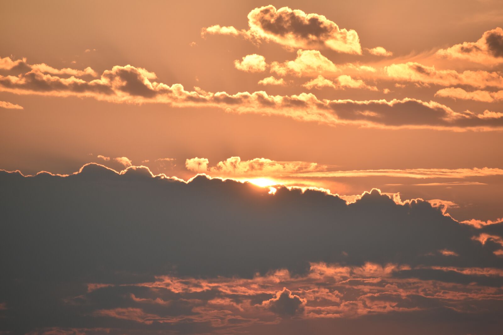 Nikon D5600 sample photo. Sun, sunset, landscape photography