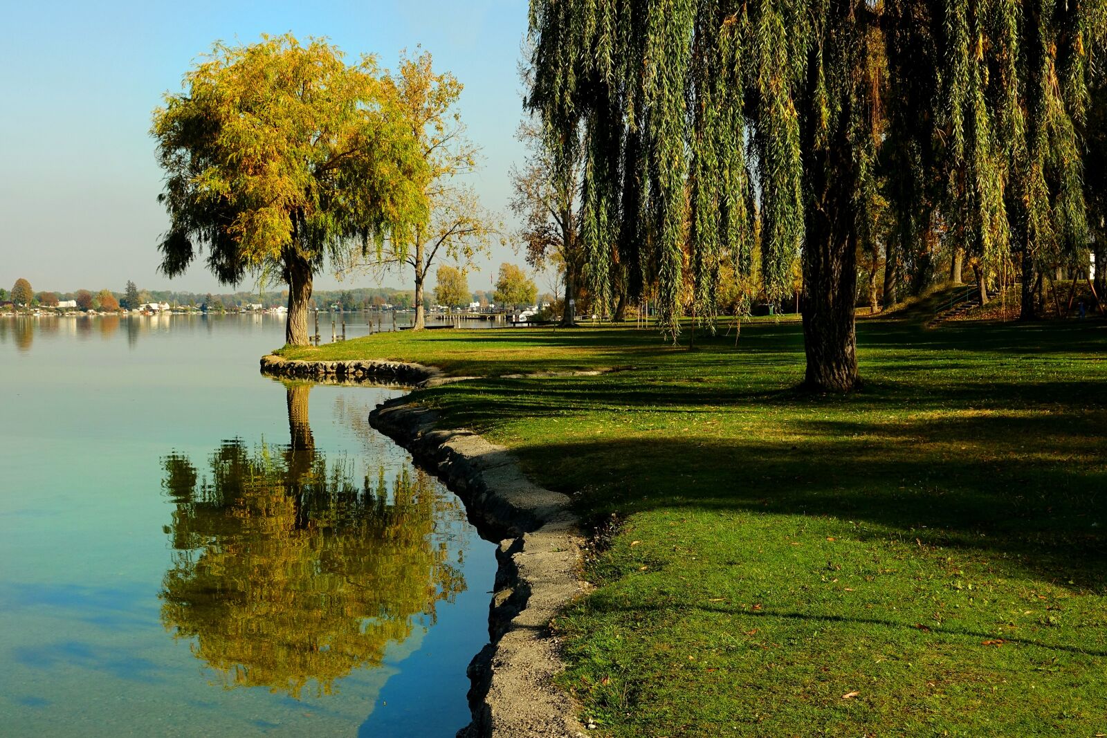 Sony Cyber-shot DSC-RX10 III sample photo. Tree, nature, waters photography