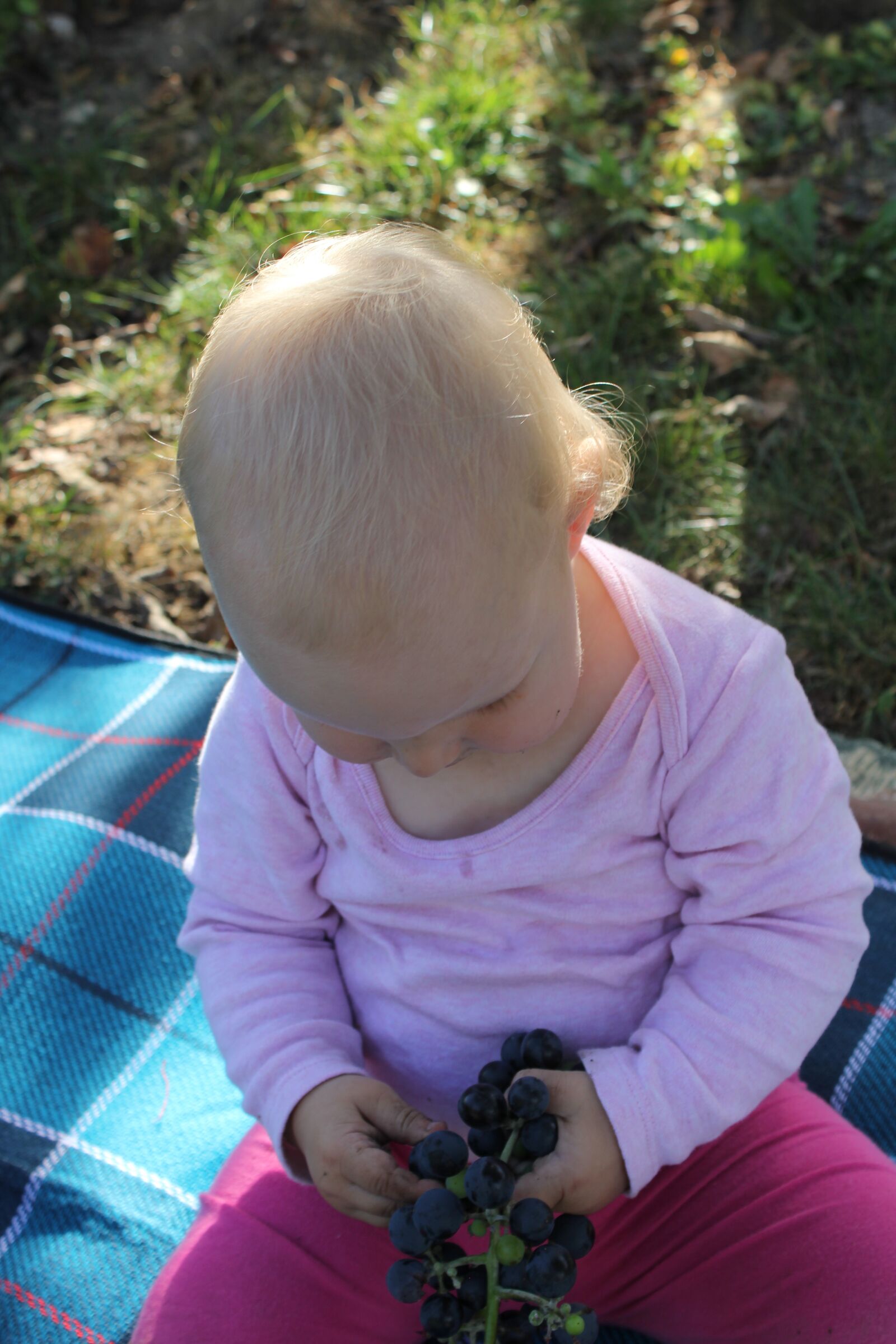 Canon EOS 550D (EOS Rebel T2i / EOS Kiss X4) sample photo. Child, autumn, daughter photography
